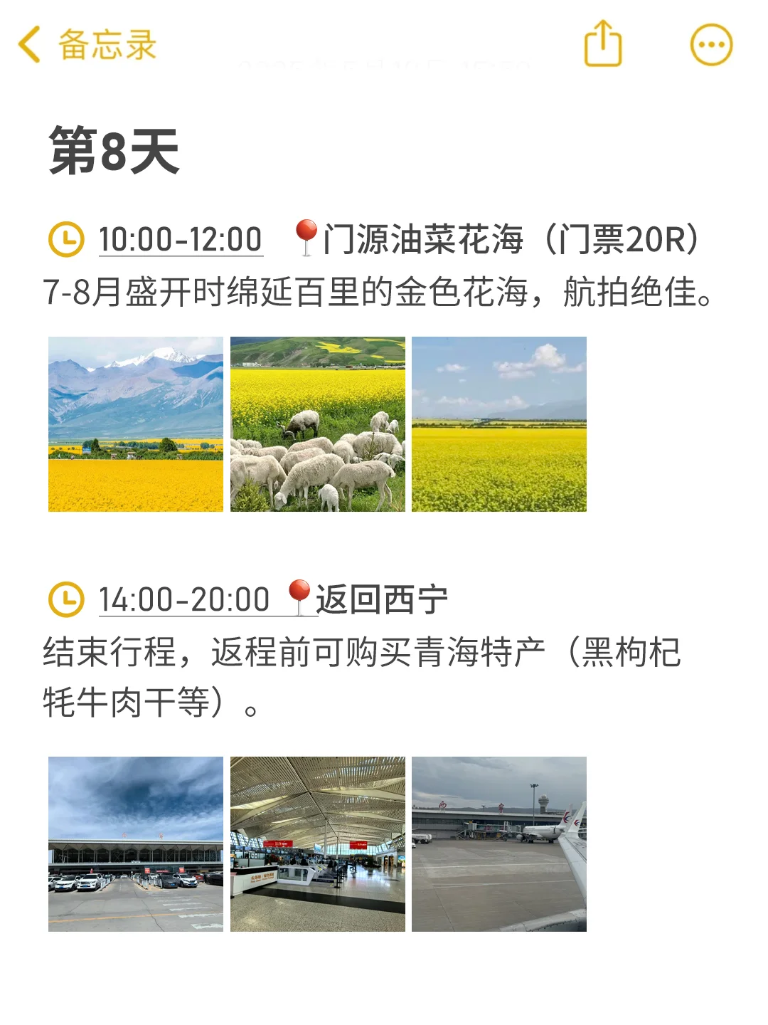 被小红书粉丝做的西北旅游攻略感动哭了...