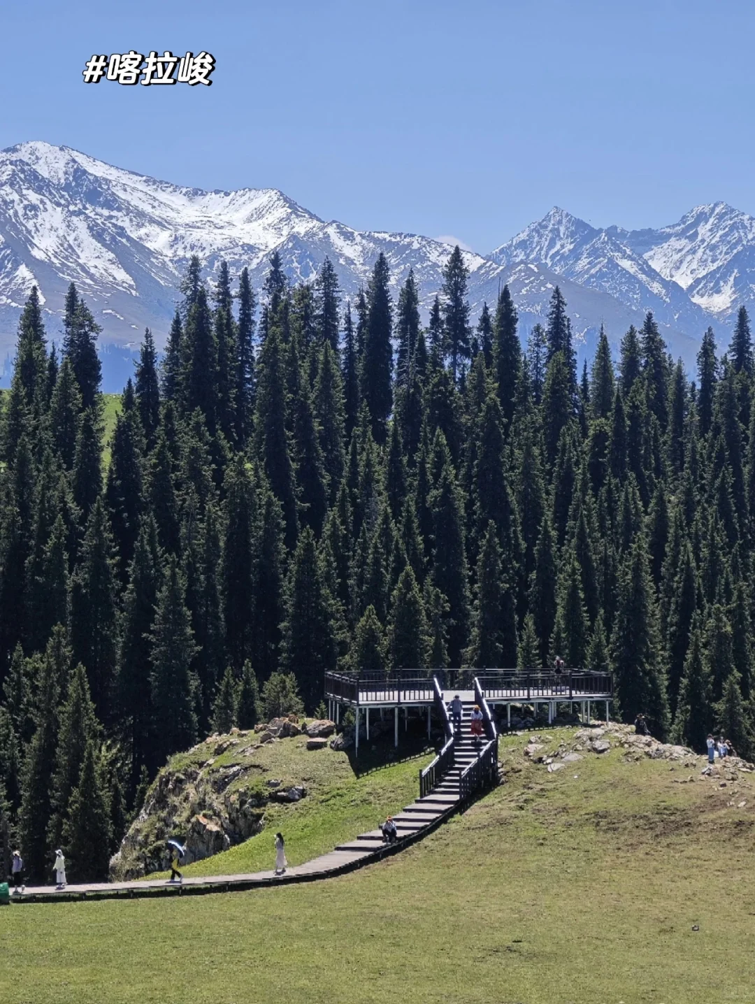 新疆的夏天真的太美了❗️