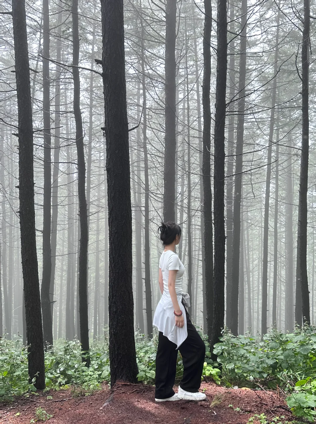 森林氧吧石家庄好去处～拒绝焦虑，停止内耗