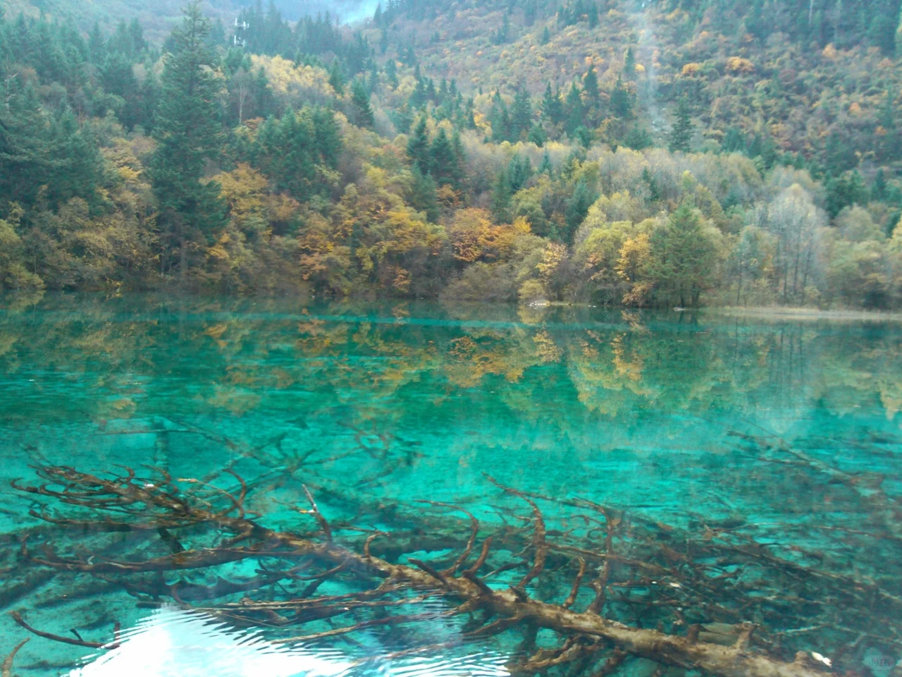 旅行只为出片吗❓我的答案是……