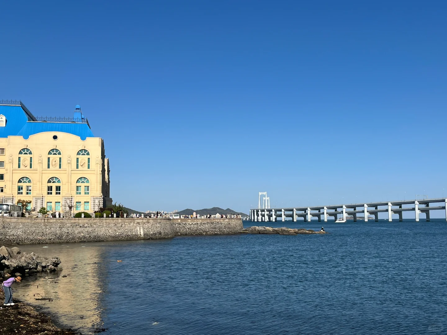 大连已回 我的感受是