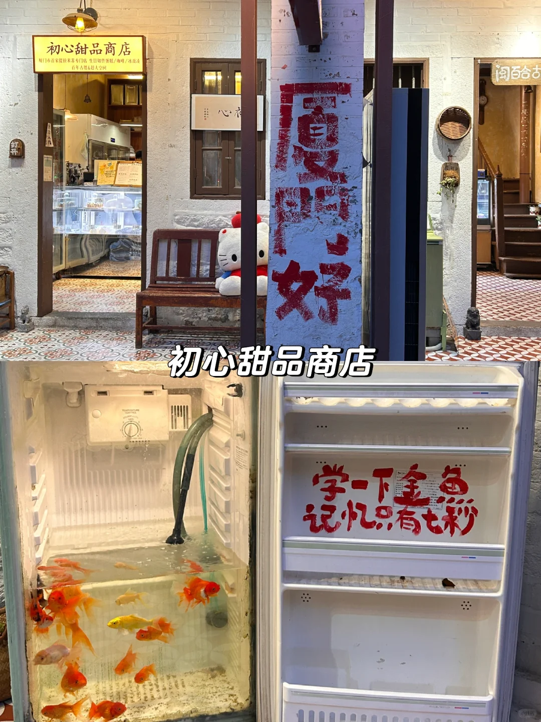 深圳周边游·厦门一日游1️⃣(小众景点)