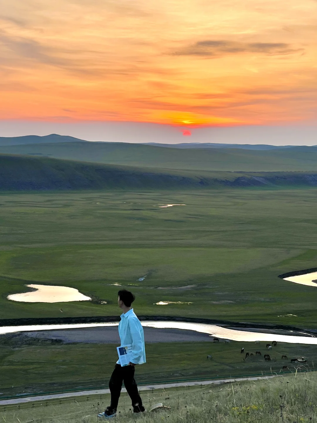 Live图🍃初夏的呼伦贝尔才是人间理想!!