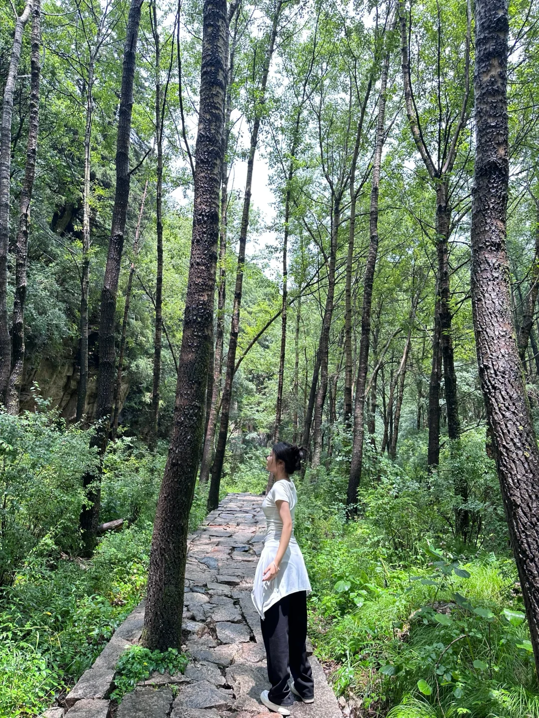 森林氧吧石家庄好去处～拒绝焦虑，停止内耗