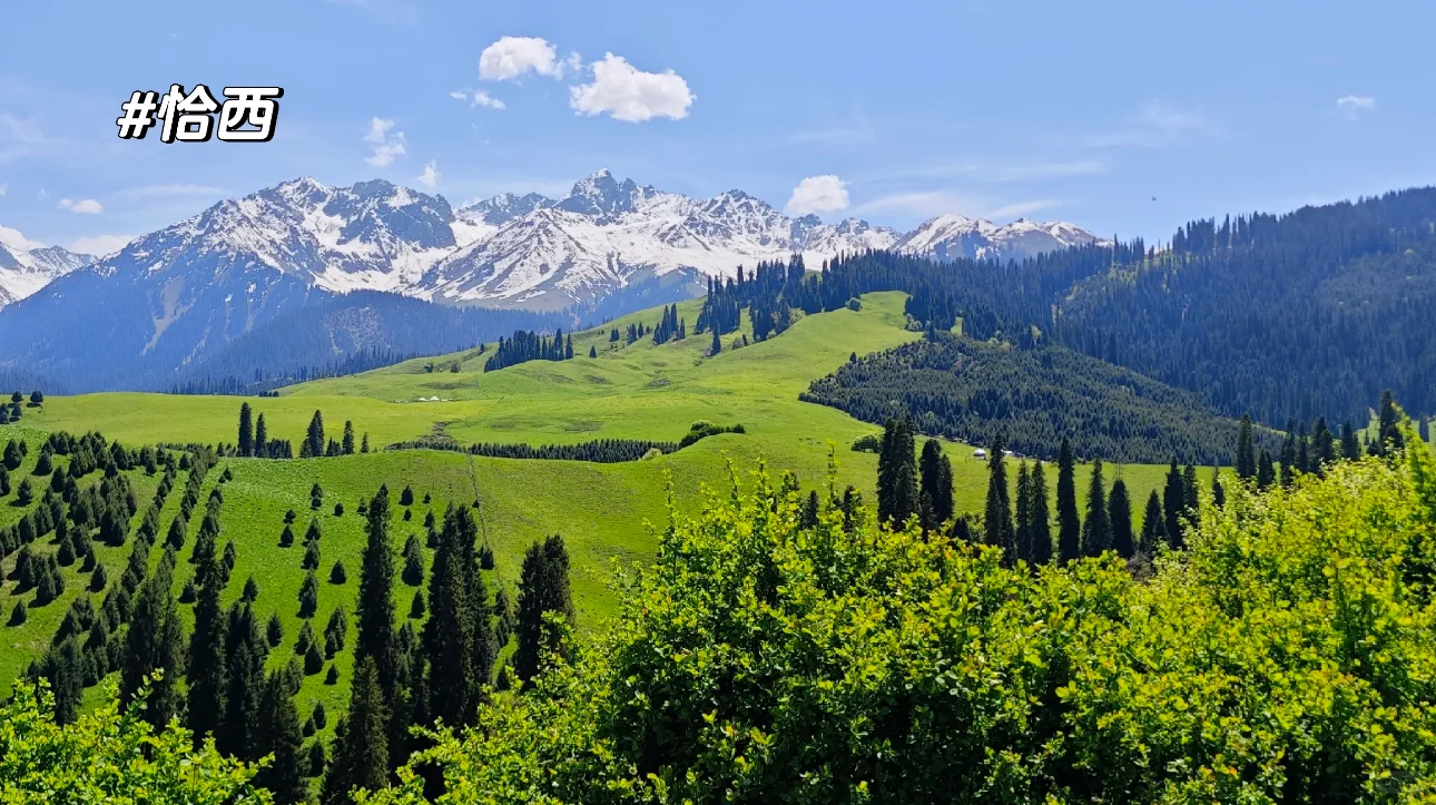 新疆的夏天真的太美了❗️