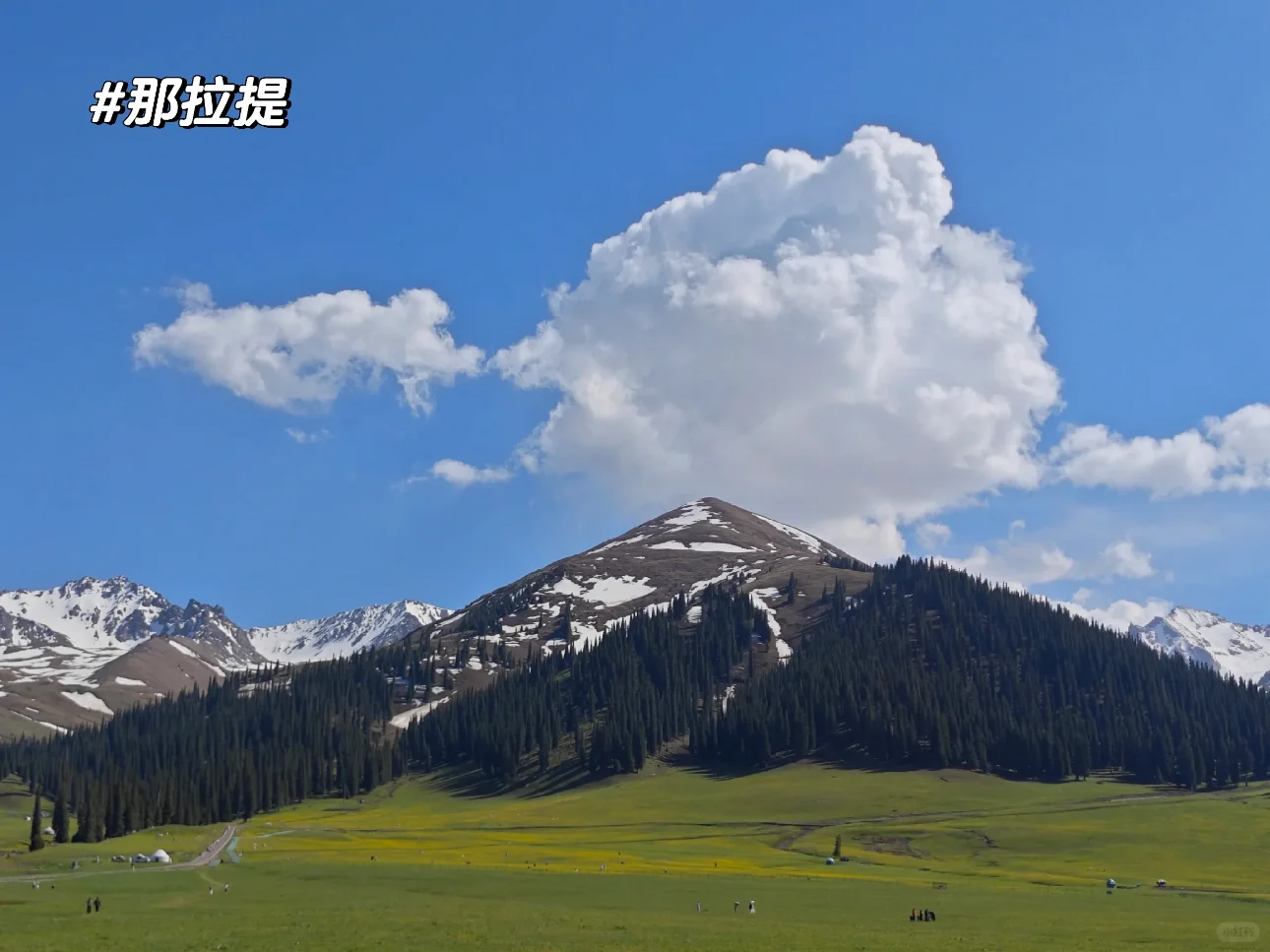 新疆的夏天真的太美了❗️