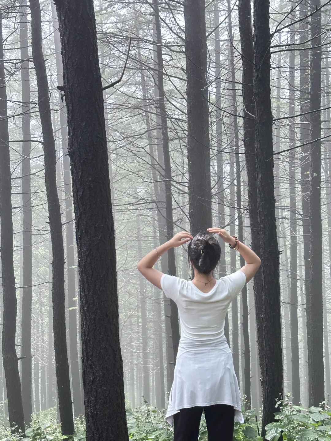 森林氧吧石家庄好去处～拒绝焦虑，停止内耗