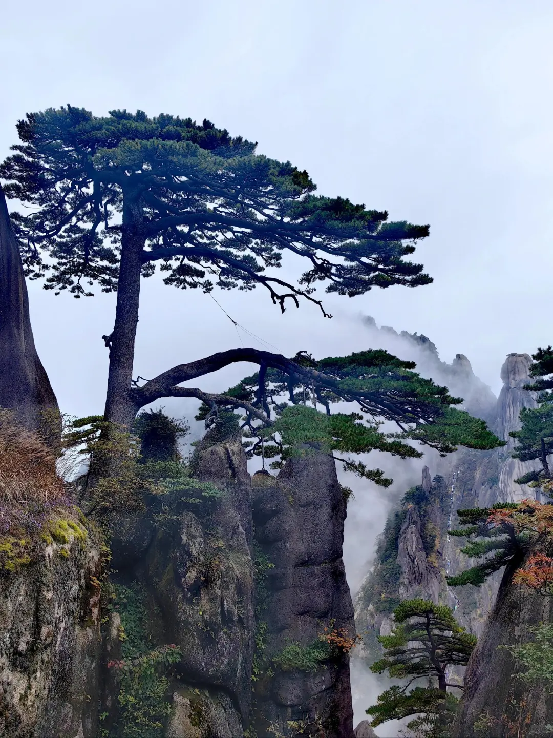 黄山之巅,邂逅云与峰的浪漫!