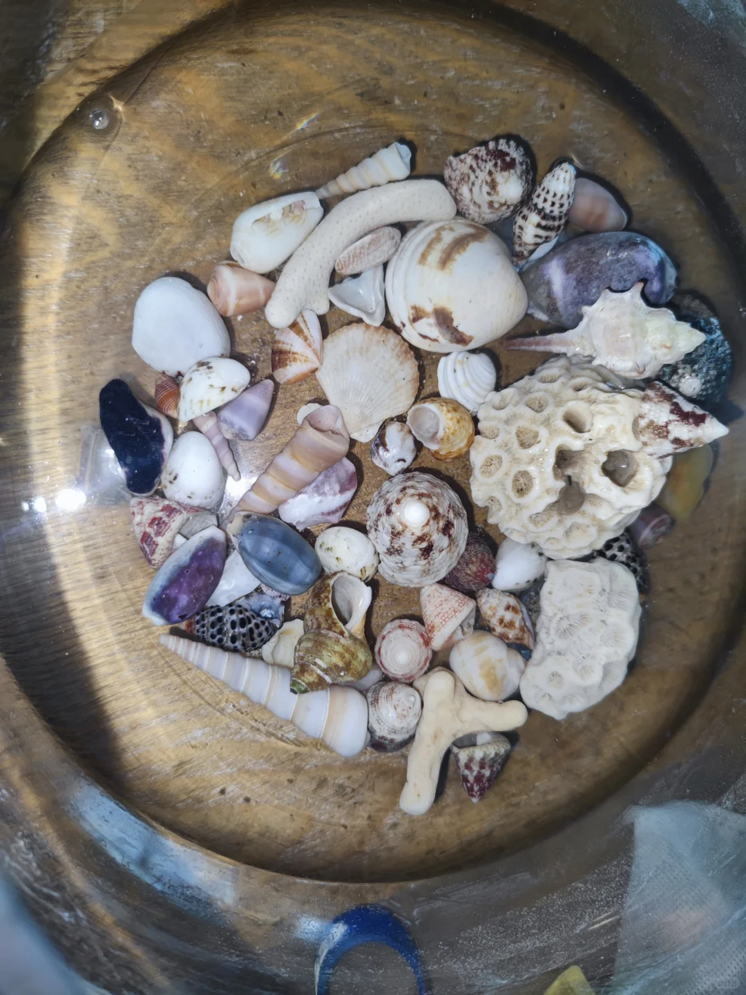 北海|涠洲岛🌊毕业旅行，5天4晚攻略