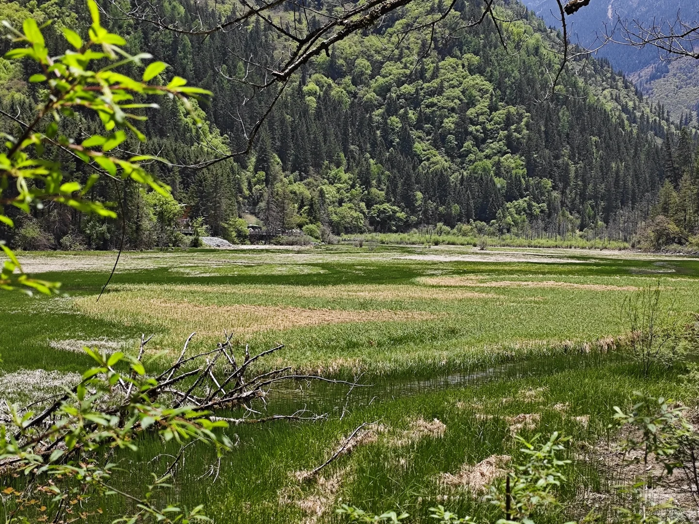 九寨沟旅游攻略｜人少路线＋🍊居住体验