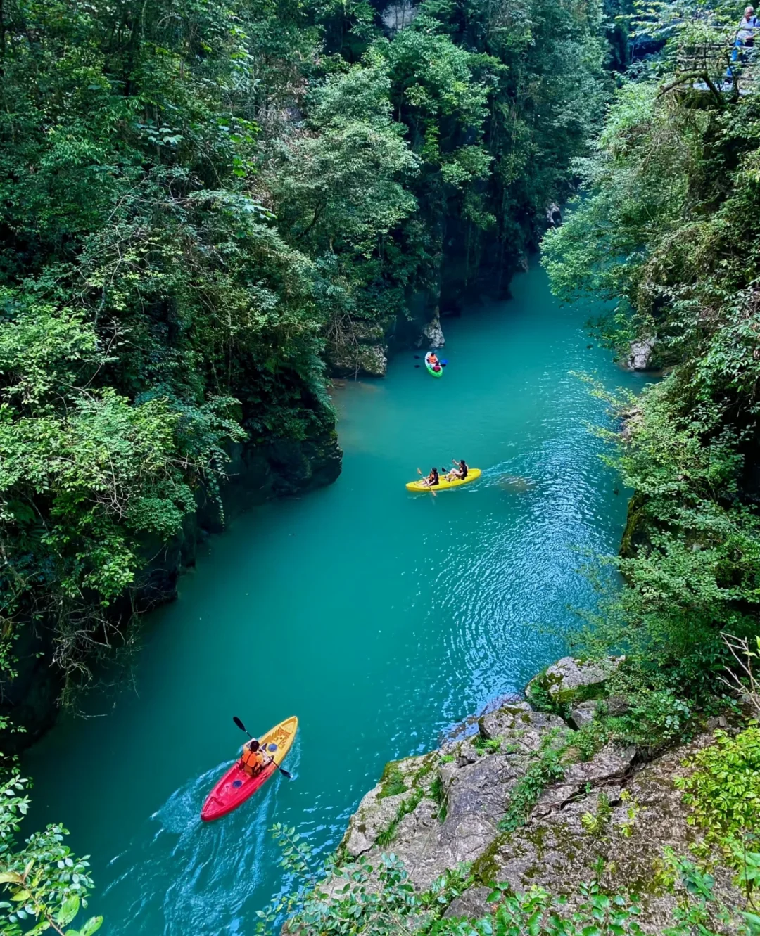 国家地理没骗人❗️恩施｜神农架｜三峡全攻略❗️