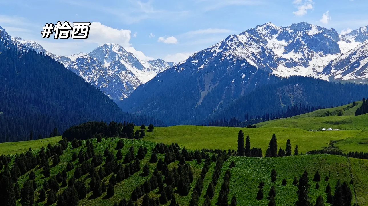 新疆的夏天真的太美了❗️