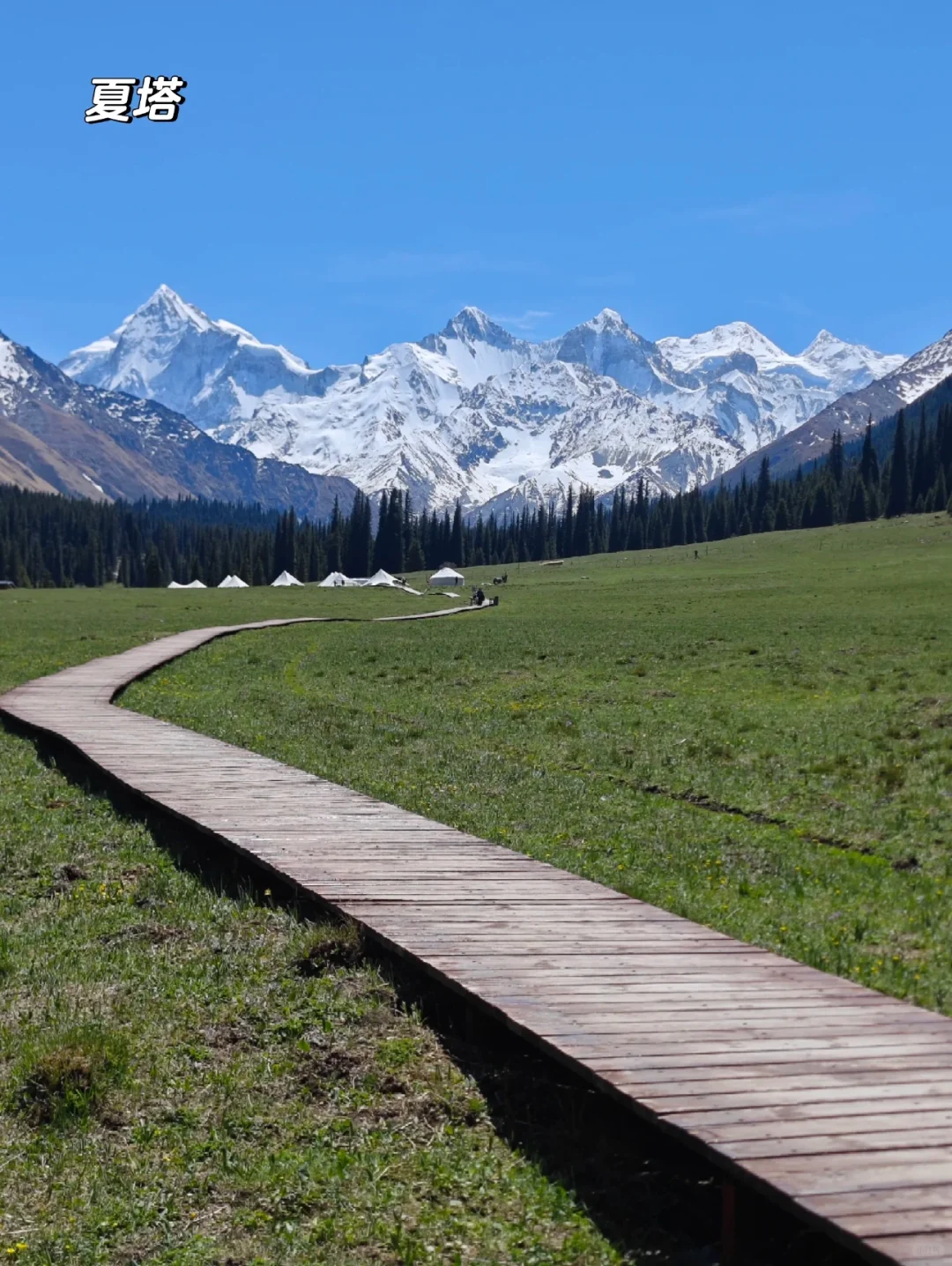 新疆的夏天真的太美了❗️
