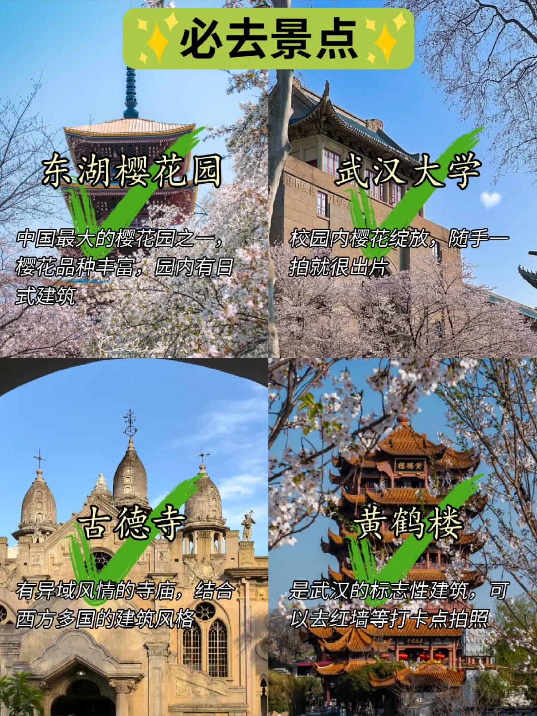 📍4.3武汉已回。。😭我都崩溃了