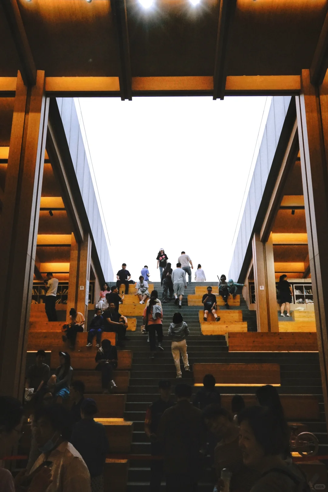 南城人的莫奈花园🌸 规模超顶的花海上线了