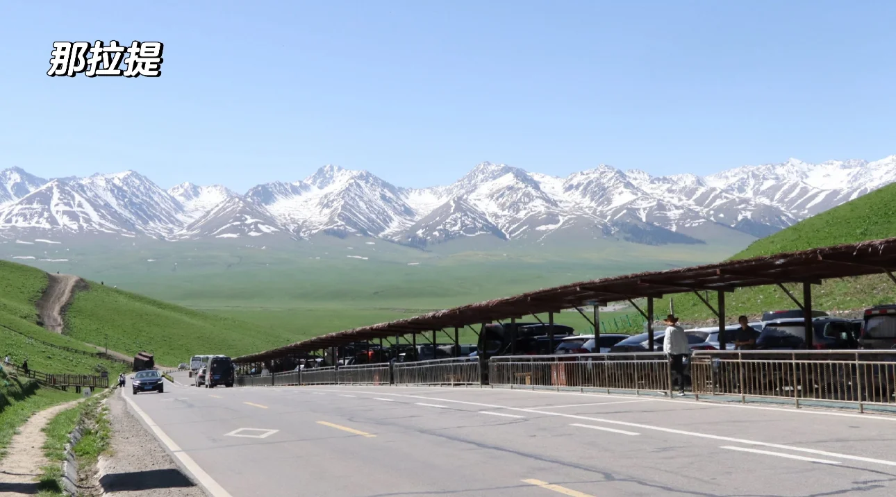 新疆的夏天真的太美了❗️