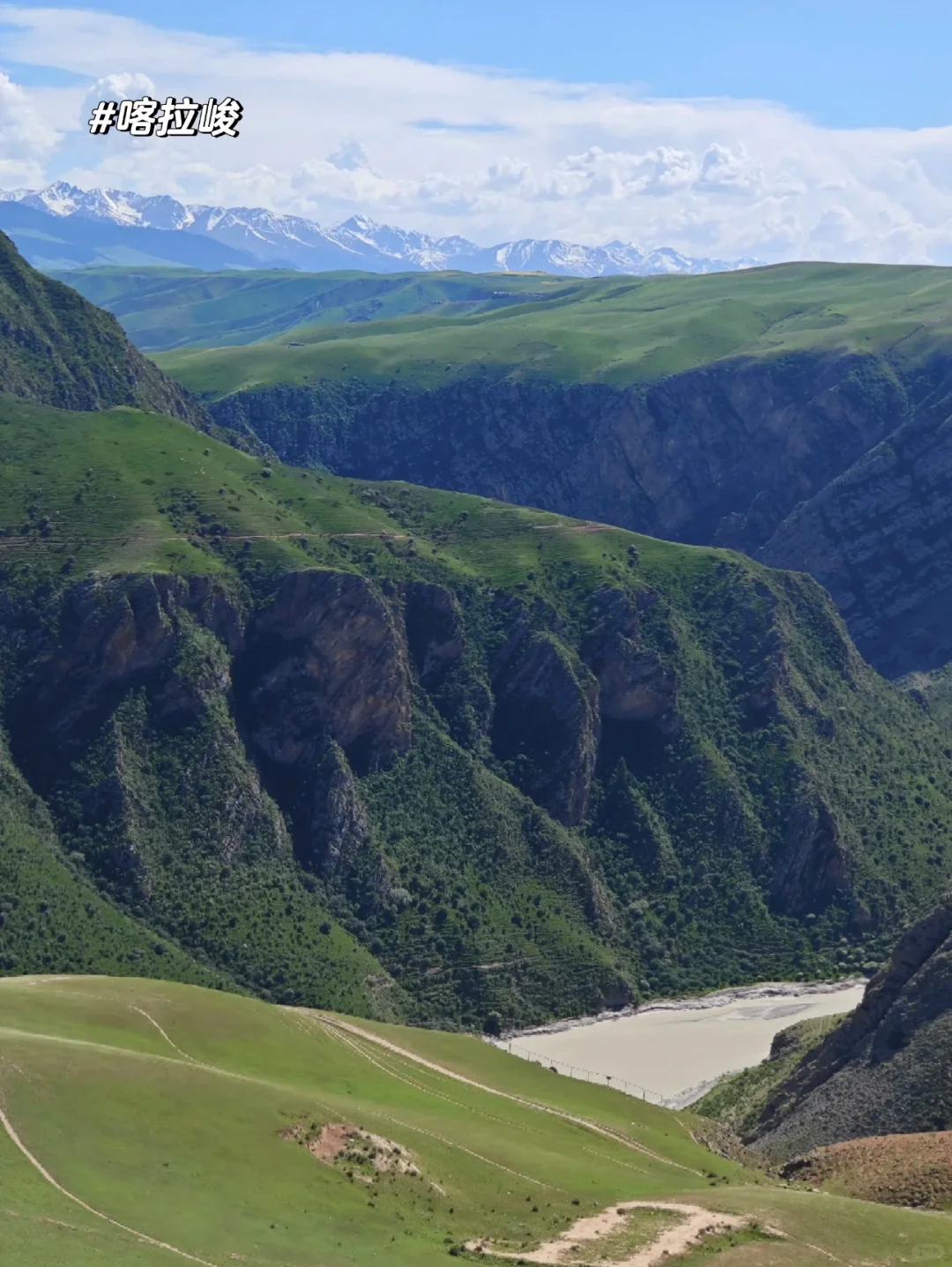 新疆的夏天真的太美了❗️