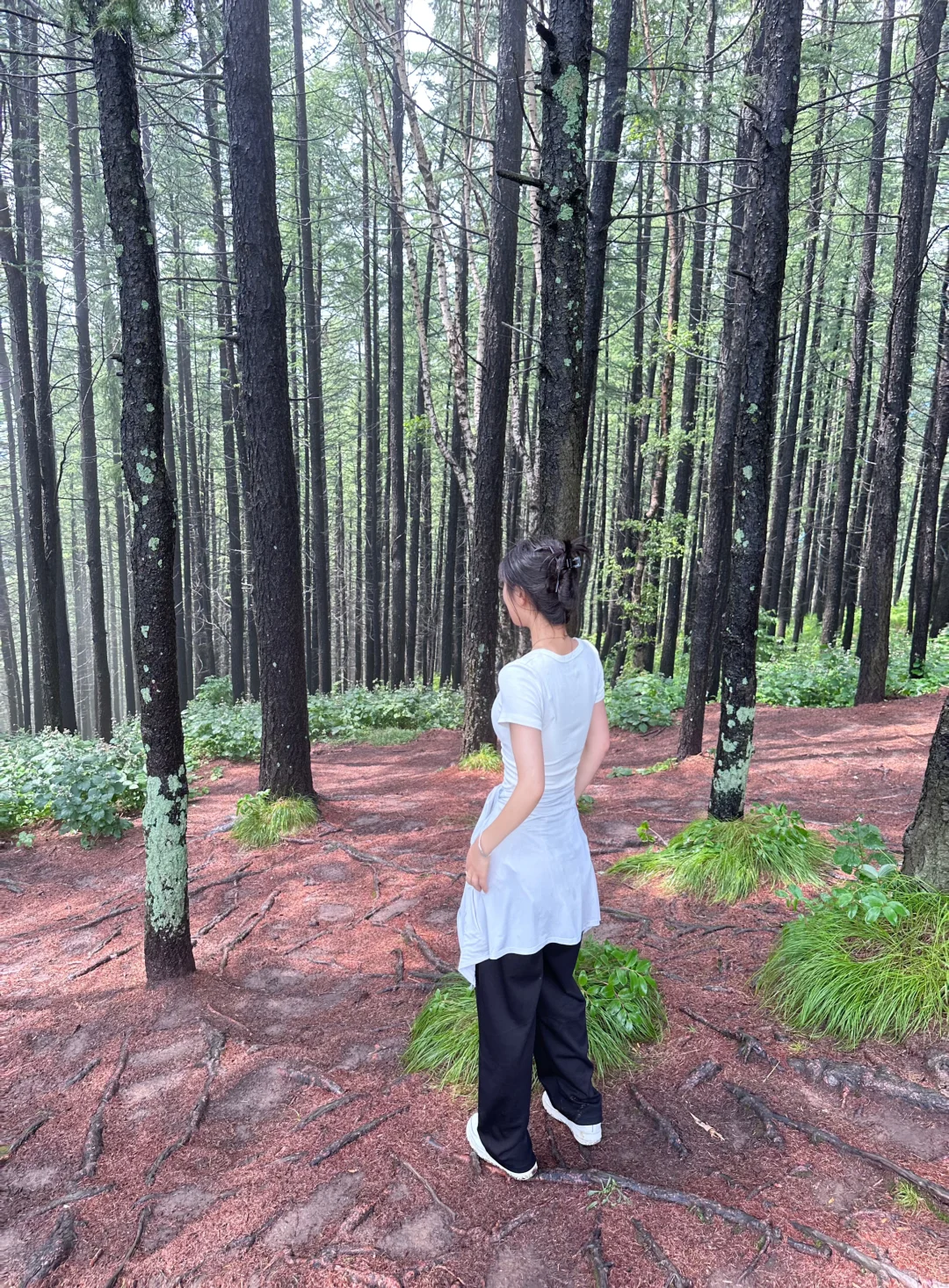 森林氧吧石家庄好去处～拒绝焦虑，停止内耗