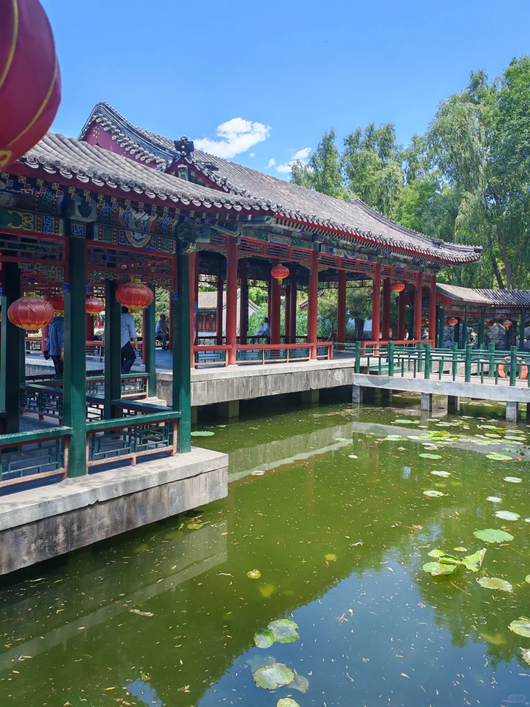 大观园游览攻略