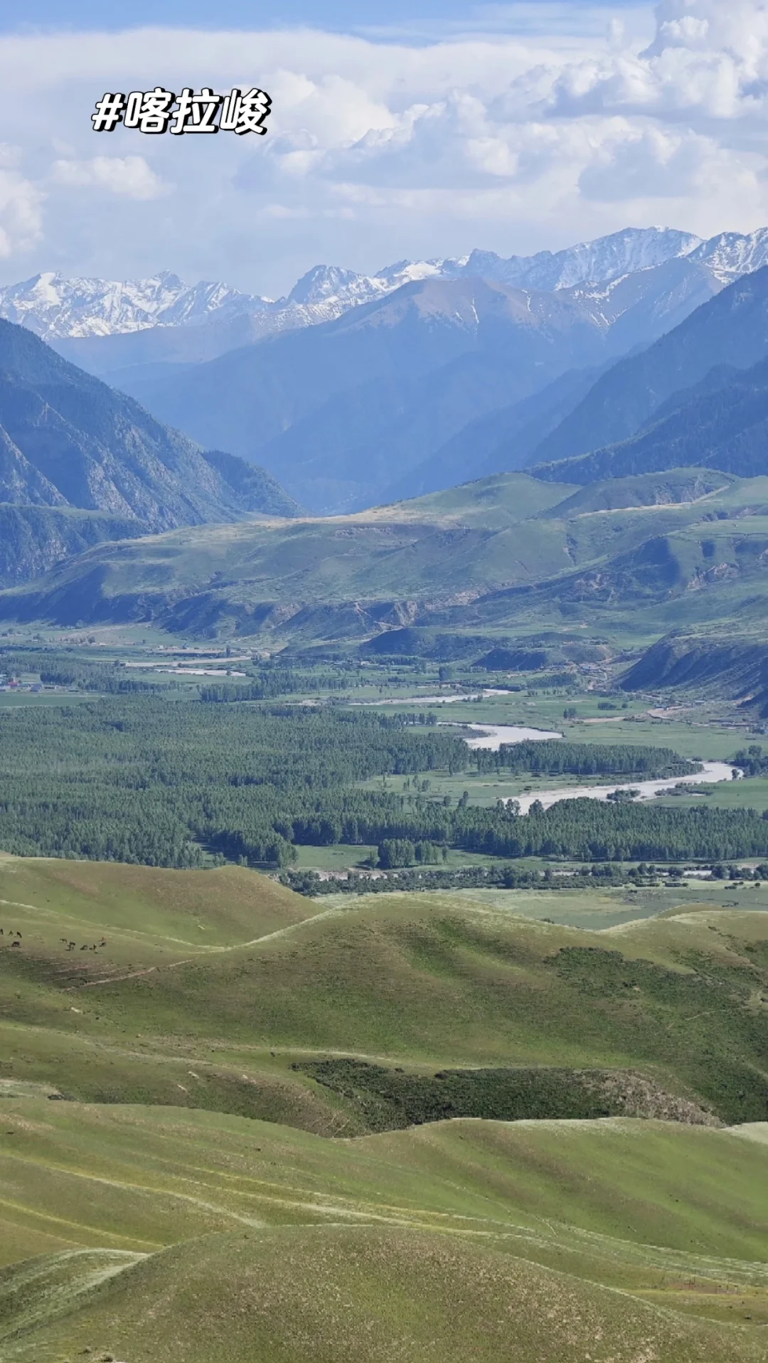 新疆的夏天真的太美了❗️