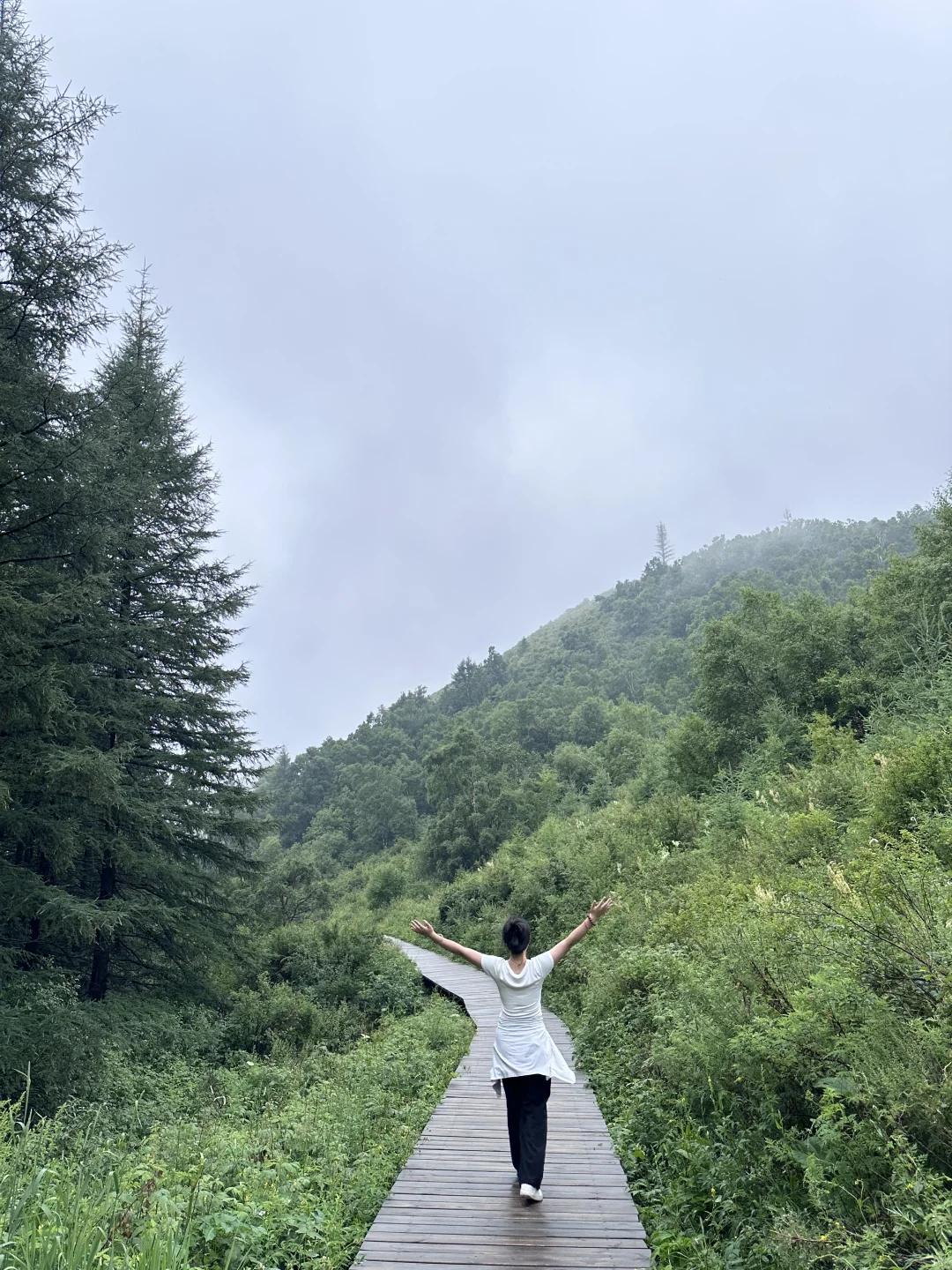 森林氧吧石家庄好去处～拒绝焦虑，停止内耗