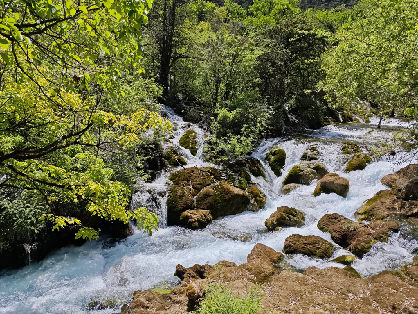 九寨沟旅游攻略｜人少路线＋🍊居住体验
