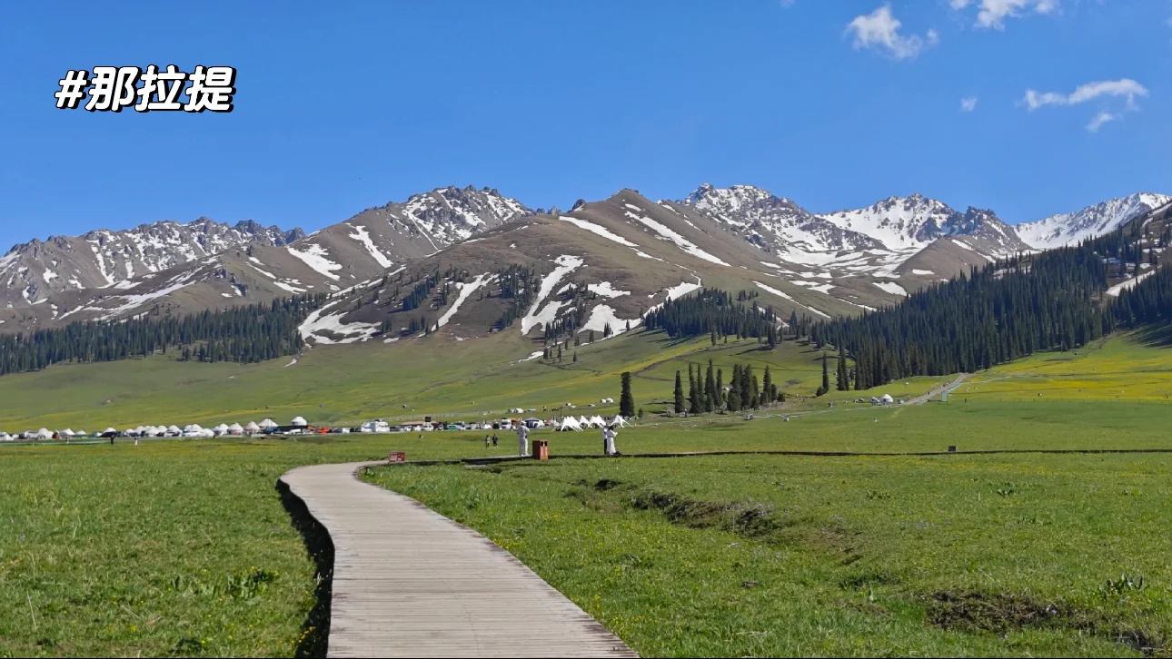 新疆的夏天真的太美了❗️