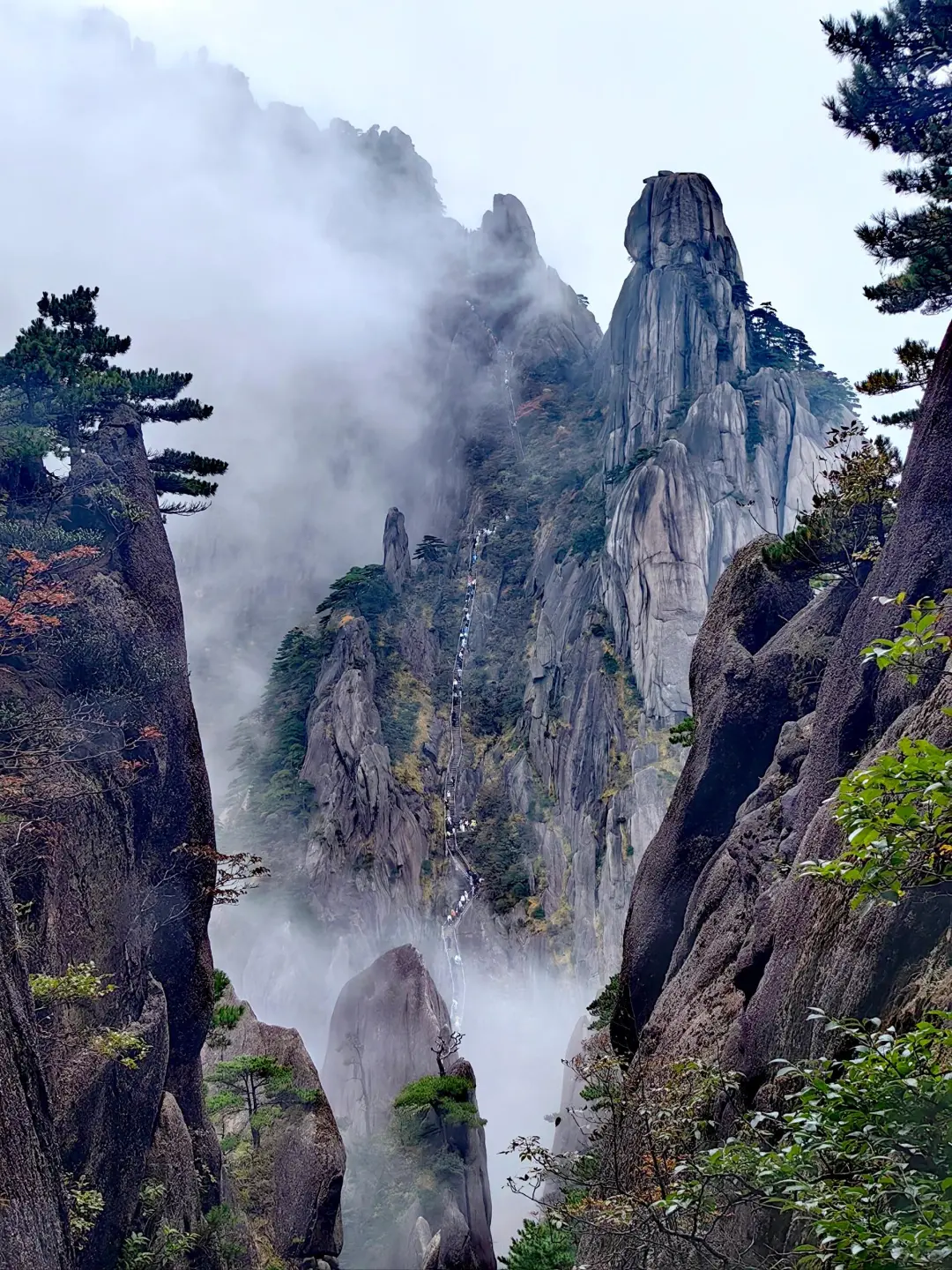 黄山之巅,邂逅云与峰的浪漫!