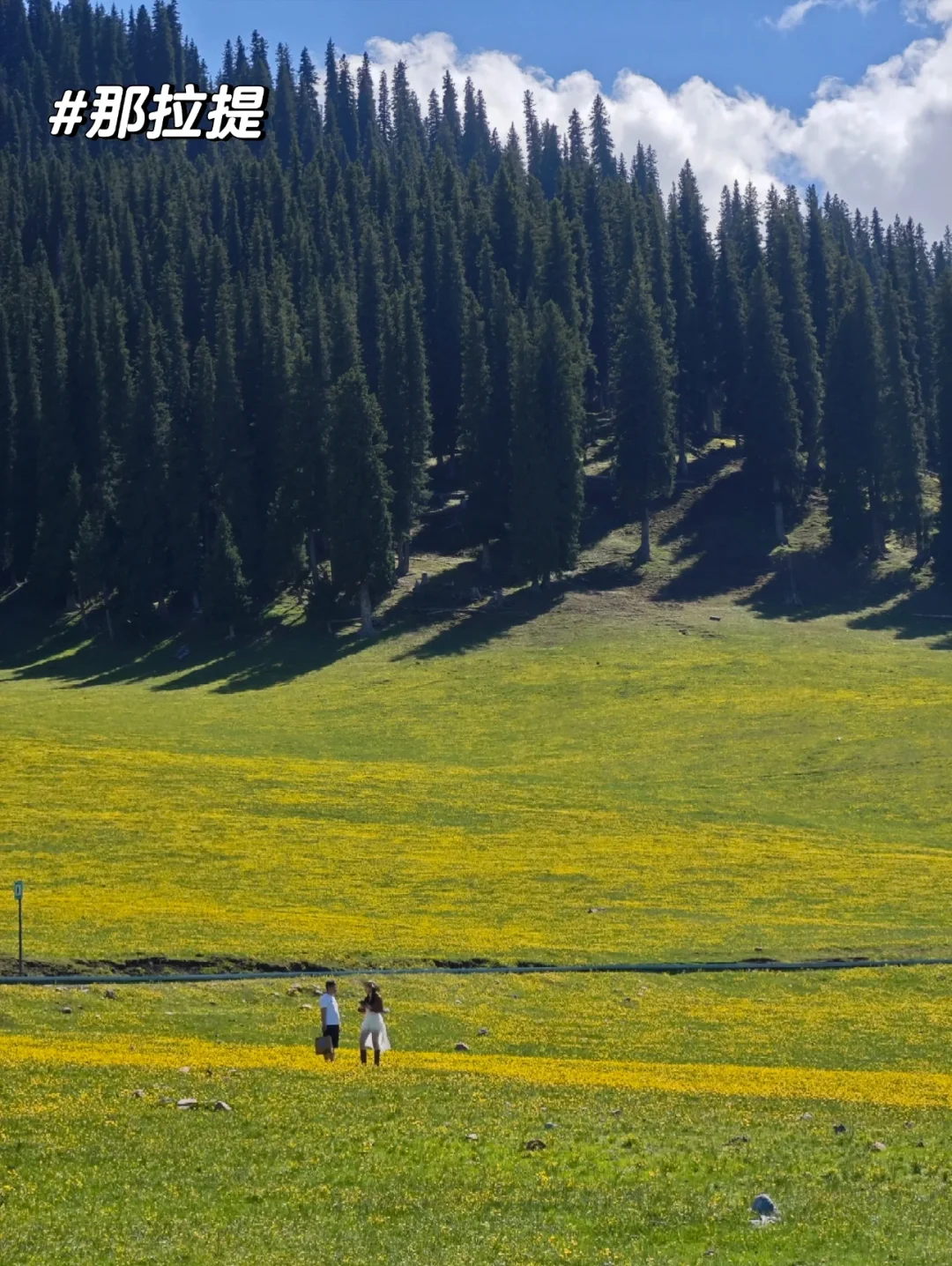 新疆的夏天真的太美了❗️