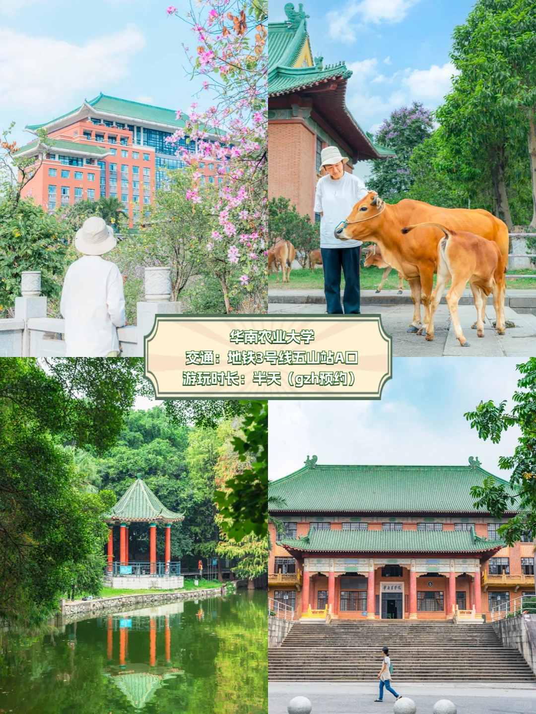 国庆慢慢玩|广州旅游必打卡15个网红景点