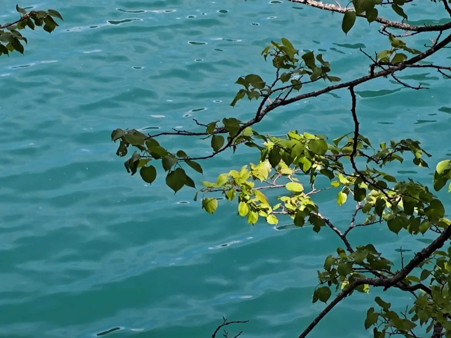 九寨沟旅游攻略｜人少路线＋🍊居住体验