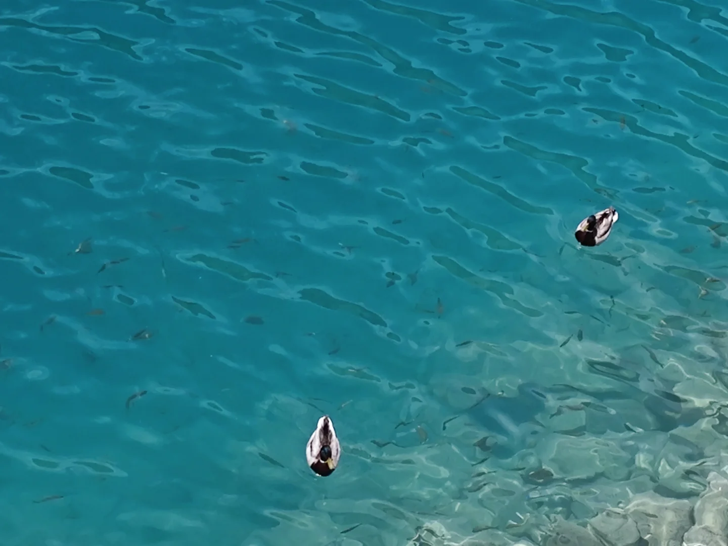 九寨沟旅游攻略｜人少路线＋🍊居住体验