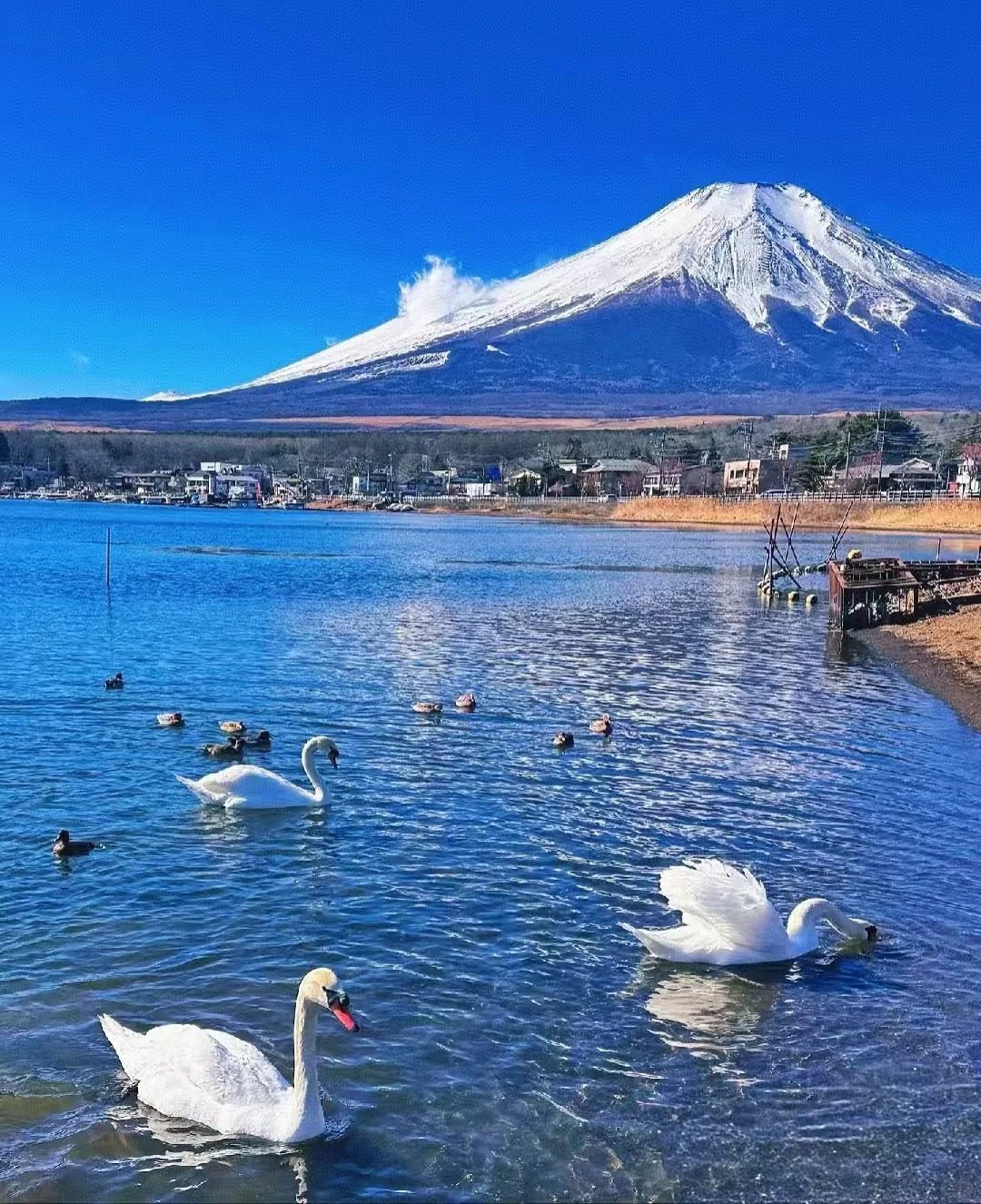 日本七次旅行经验分享：超实用姐妹攻略来啦