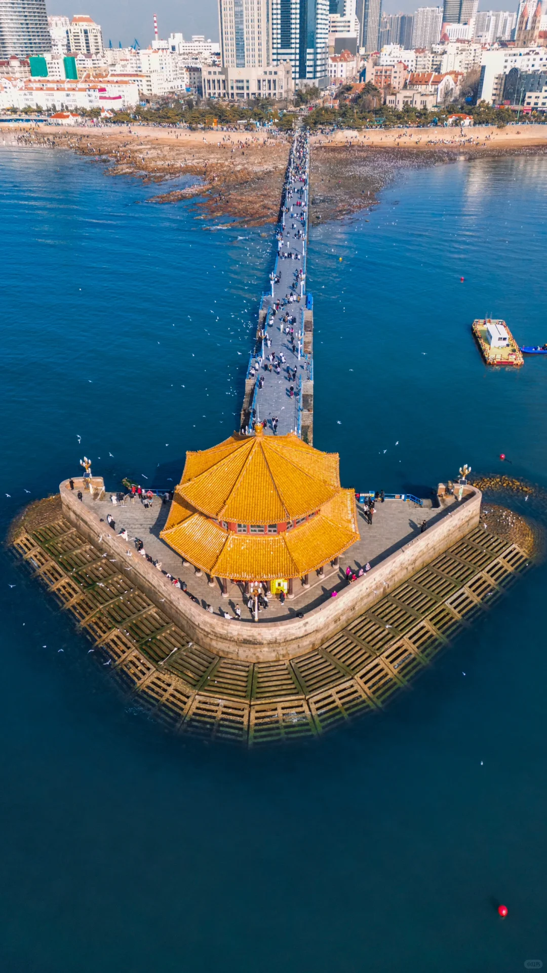第一次来青岛旅游📸拍完这9️⃣个机位再走‼️