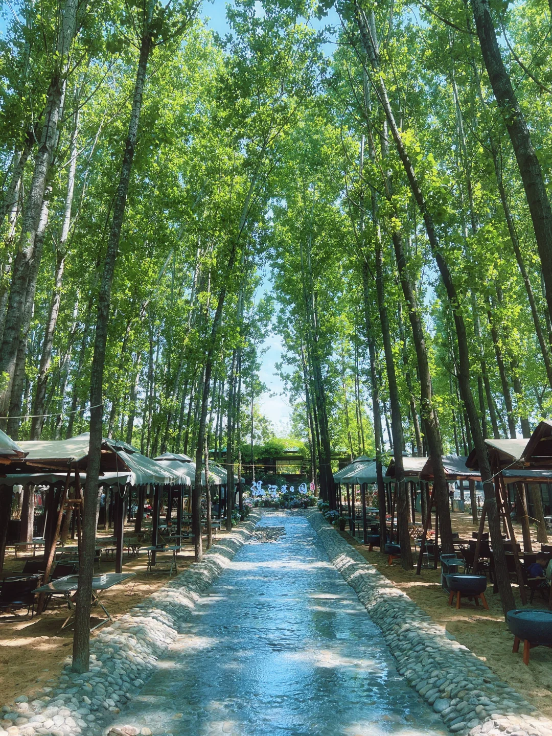 临沂的莫奈花园也太美了吧💐❗️