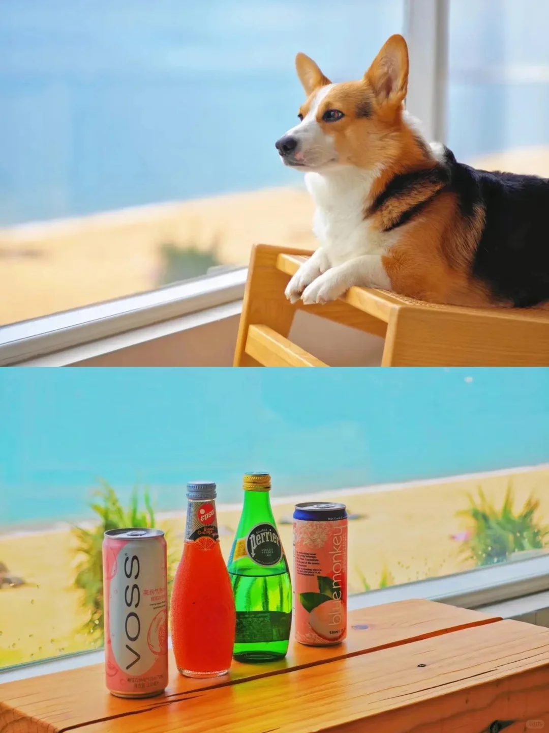 给海口陈奕迅演唱会的兵们一些旅游攻略‼️