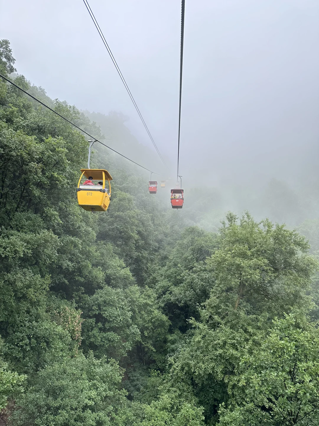 森林氧吧石家庄好去处～拒绝焦虑，停止内耗