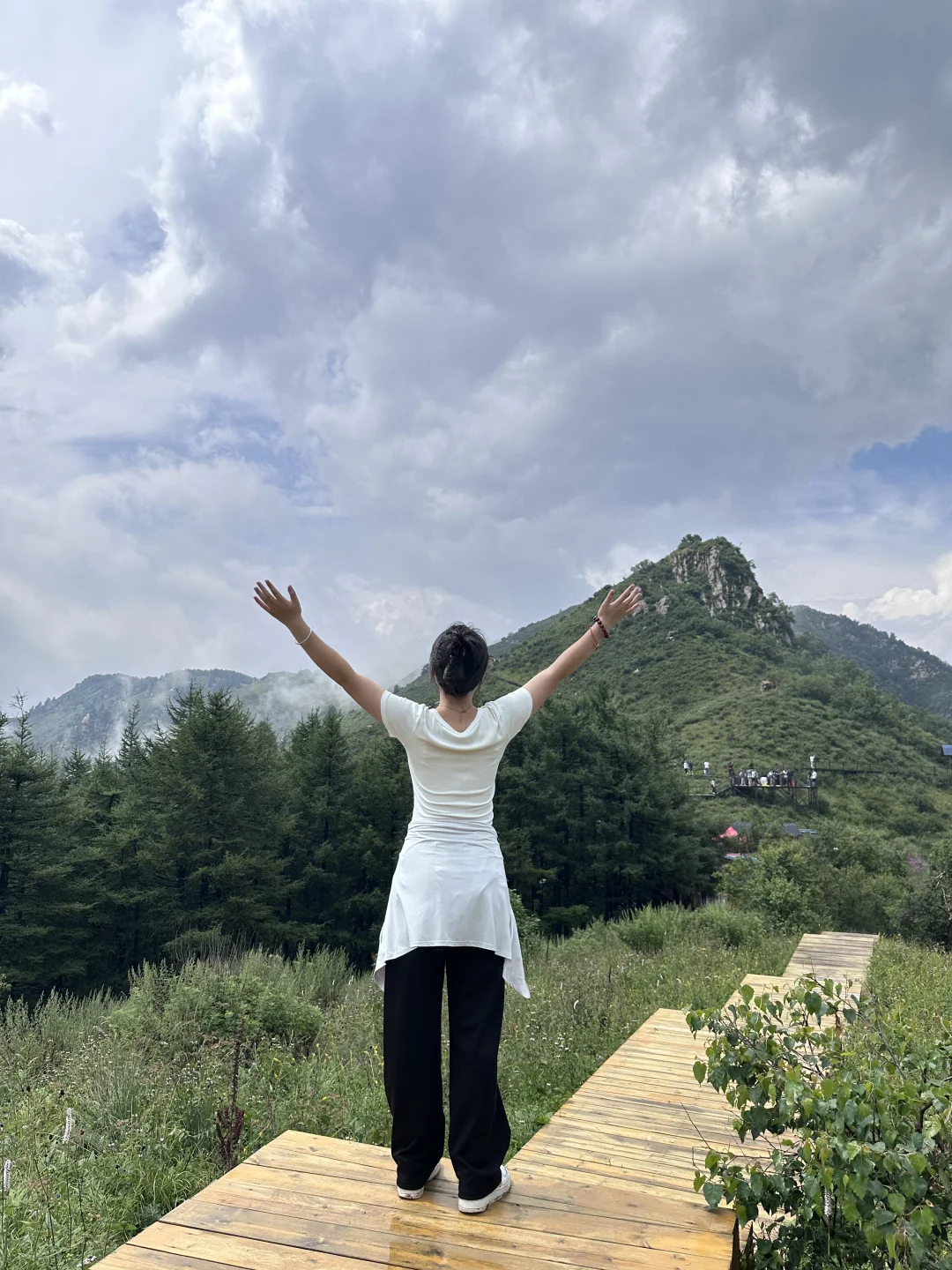 森林氧吧石家庄好去处～拒绝焦虑，停止内耗