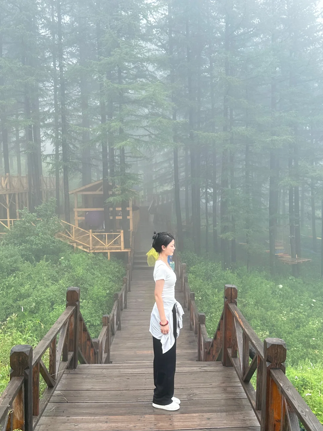 森林氧吧石家庄好去处～拒绝焦虑，停止内耗