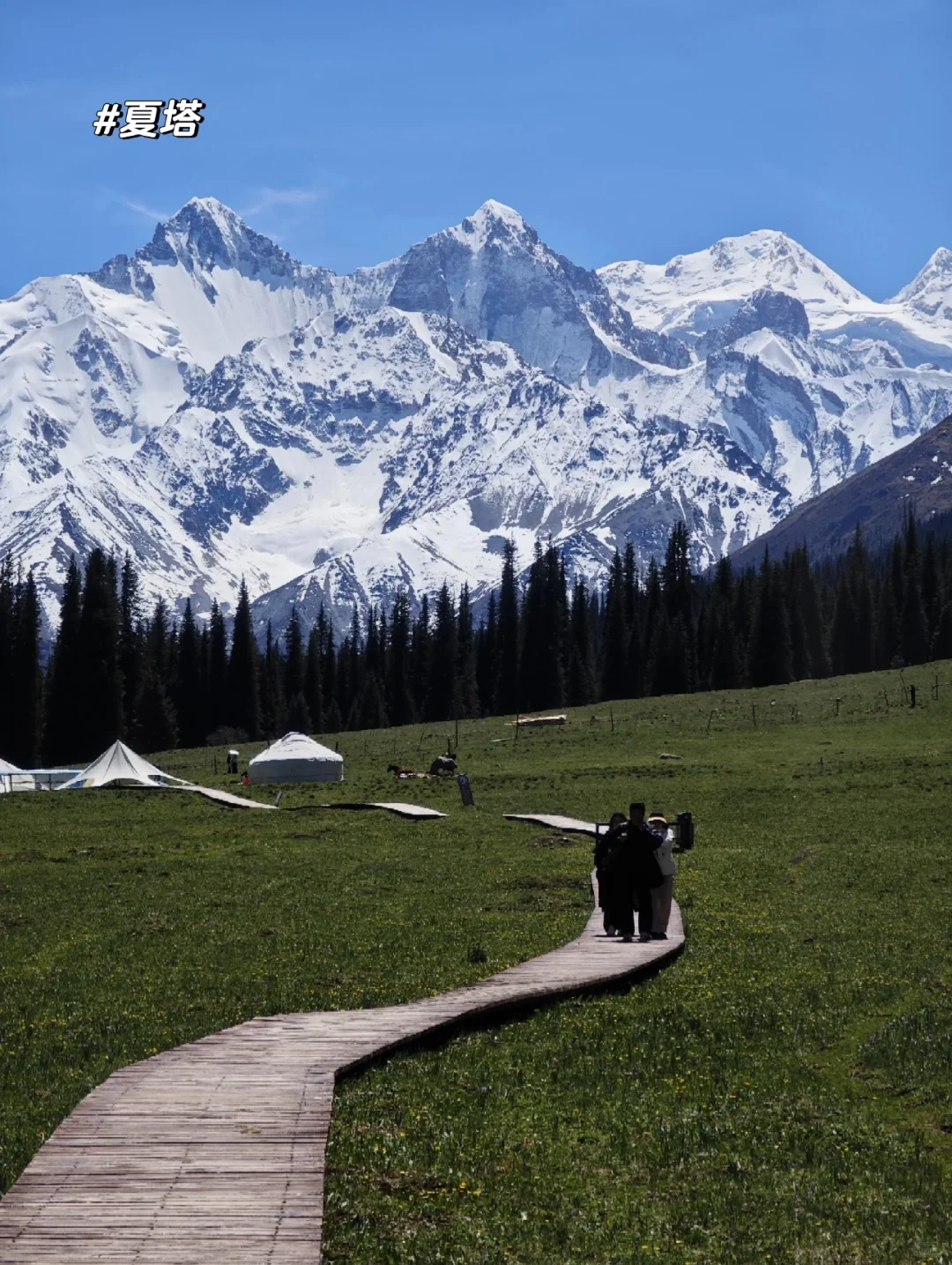新疆的夏天真的太美了❗️