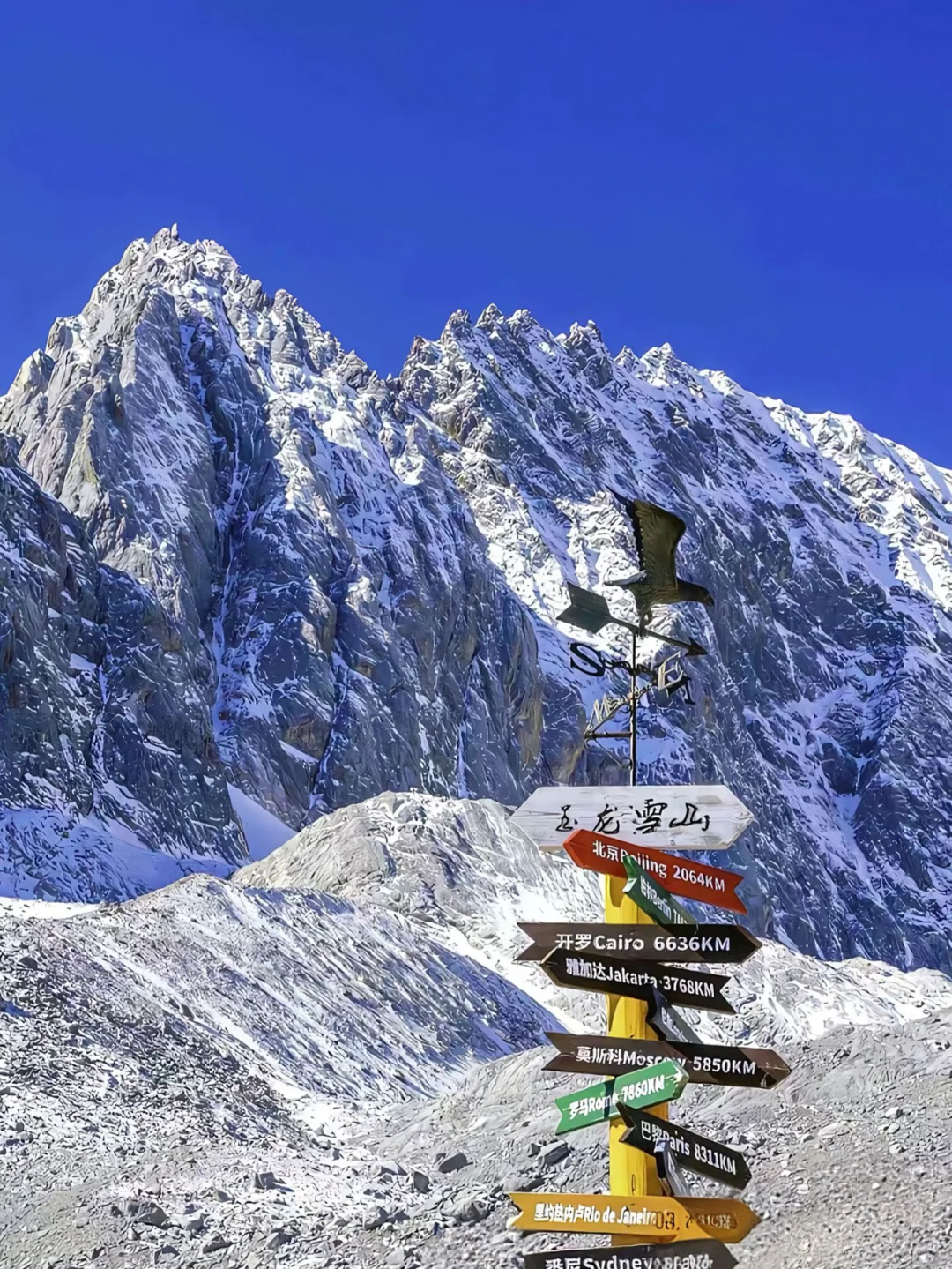 ⛰️玉龙雪山纯玩攻略|无购物超值体验👓