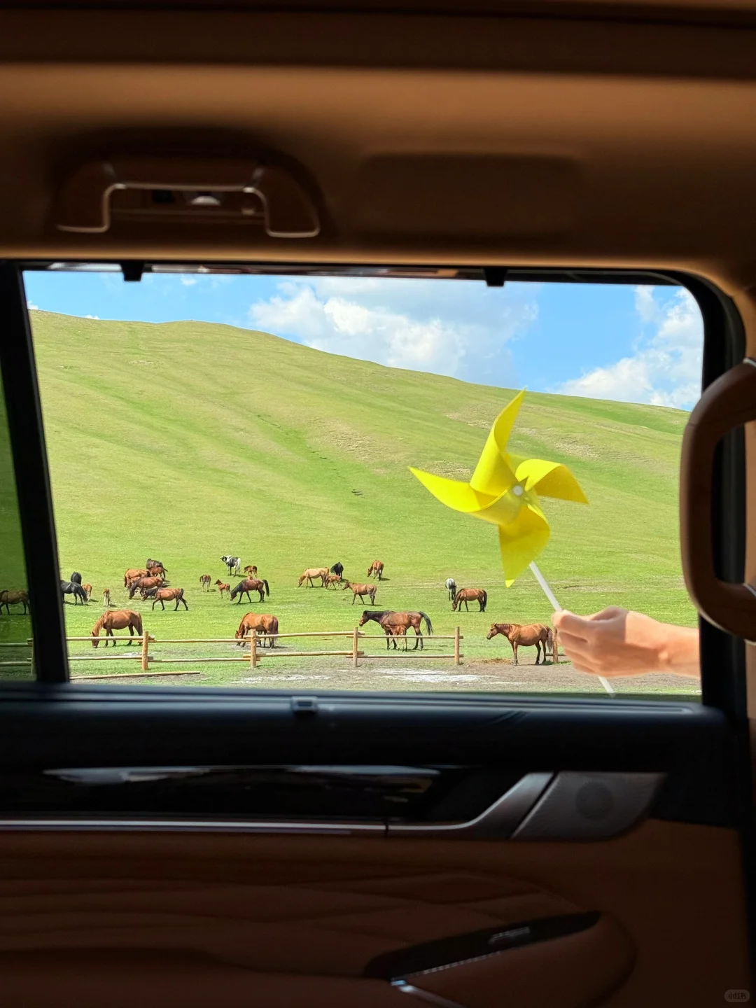 Live图，牛马到呼伦贝尔第一天就美哭了😭