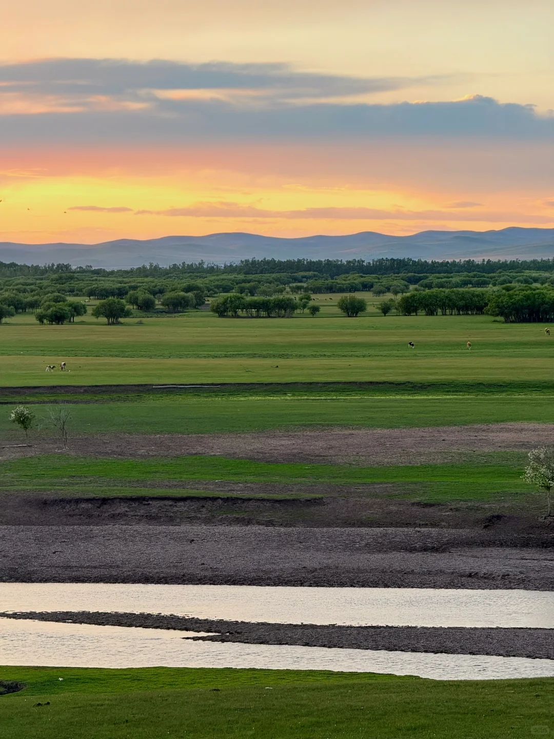 Live图，牛马到呼伦贝尔第一天就美哭了😭