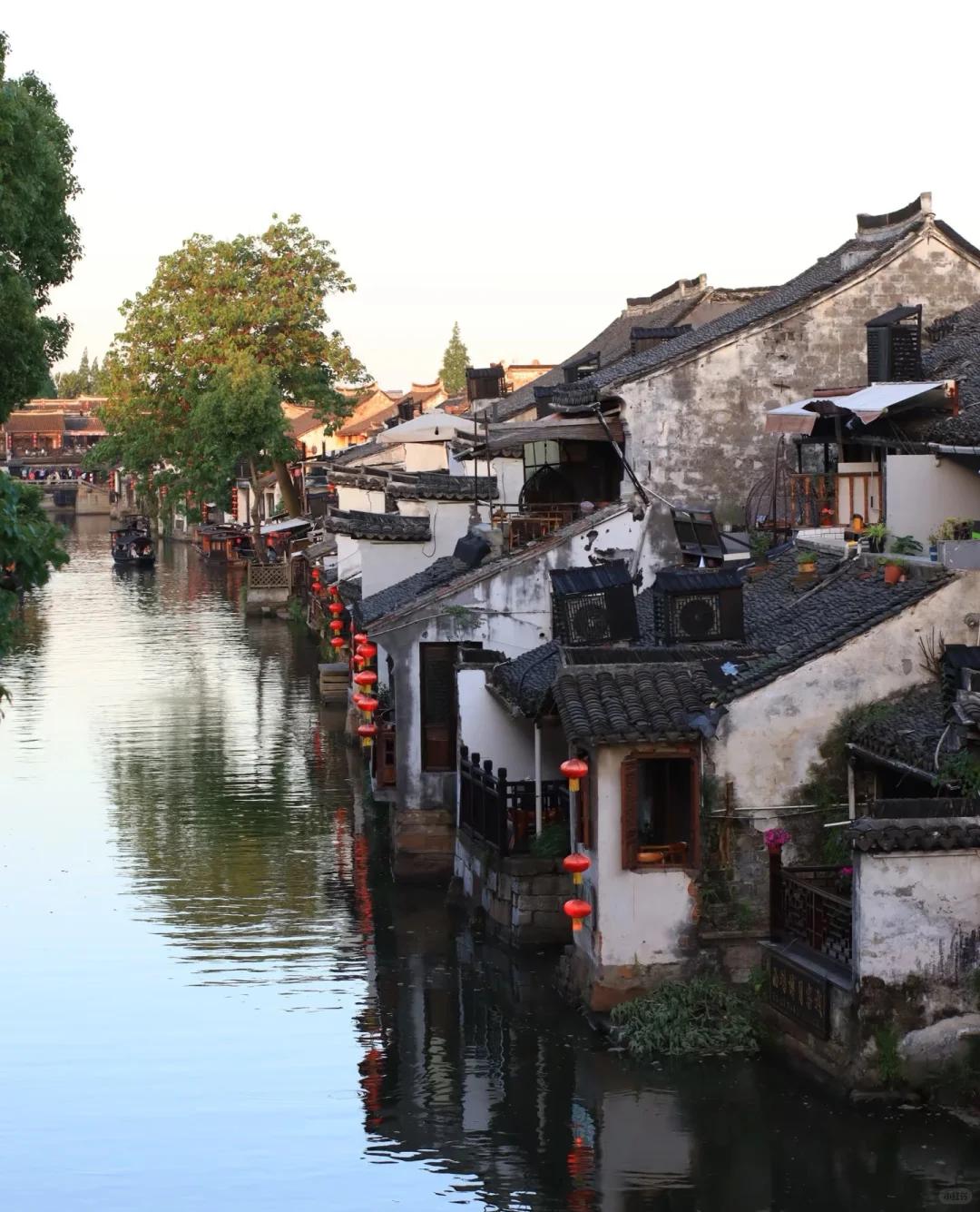 “你一句春不晚,我就到了真江南”