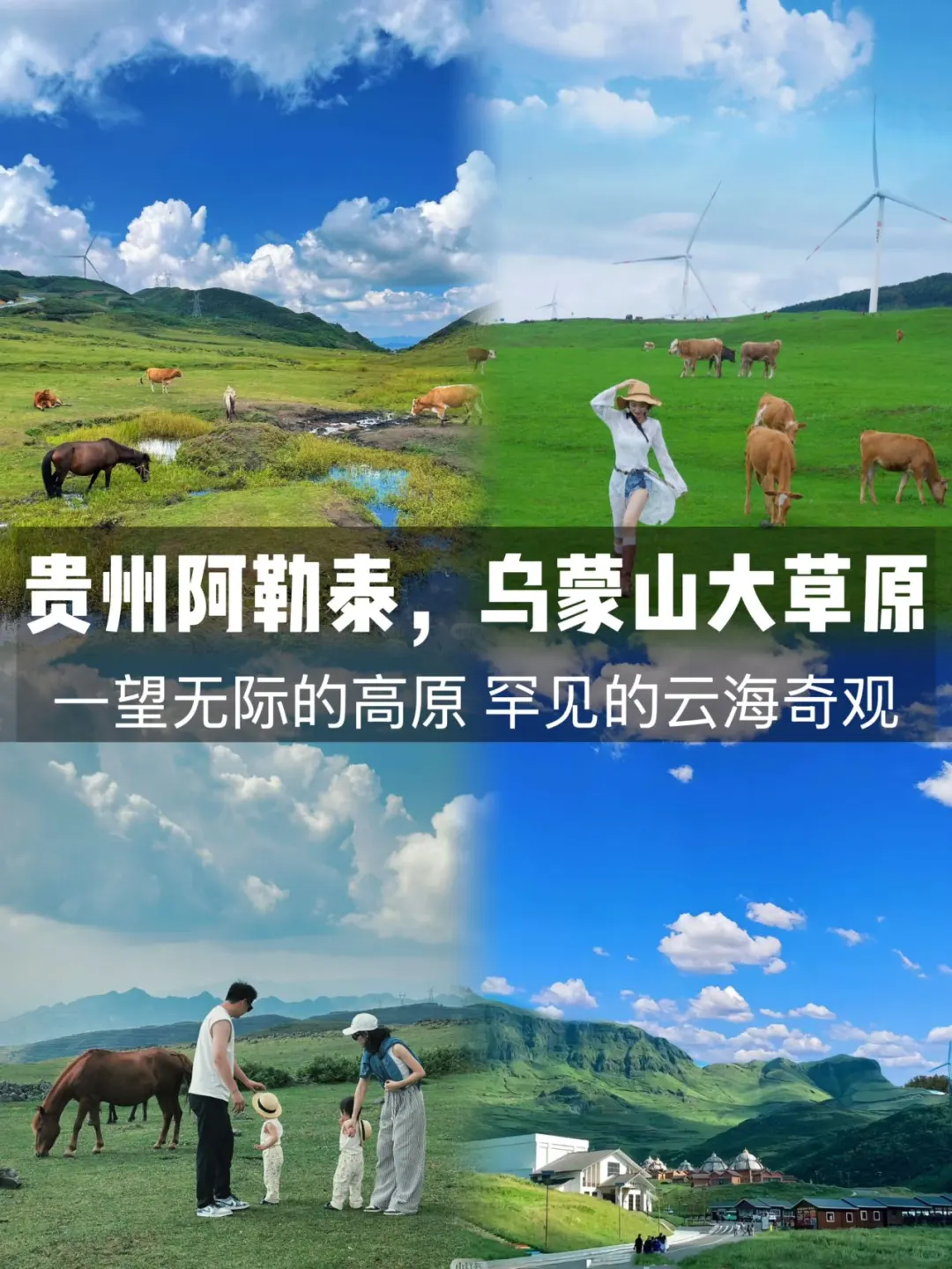 🌿私藏清单！超适合避暑的6个亲子旅行地