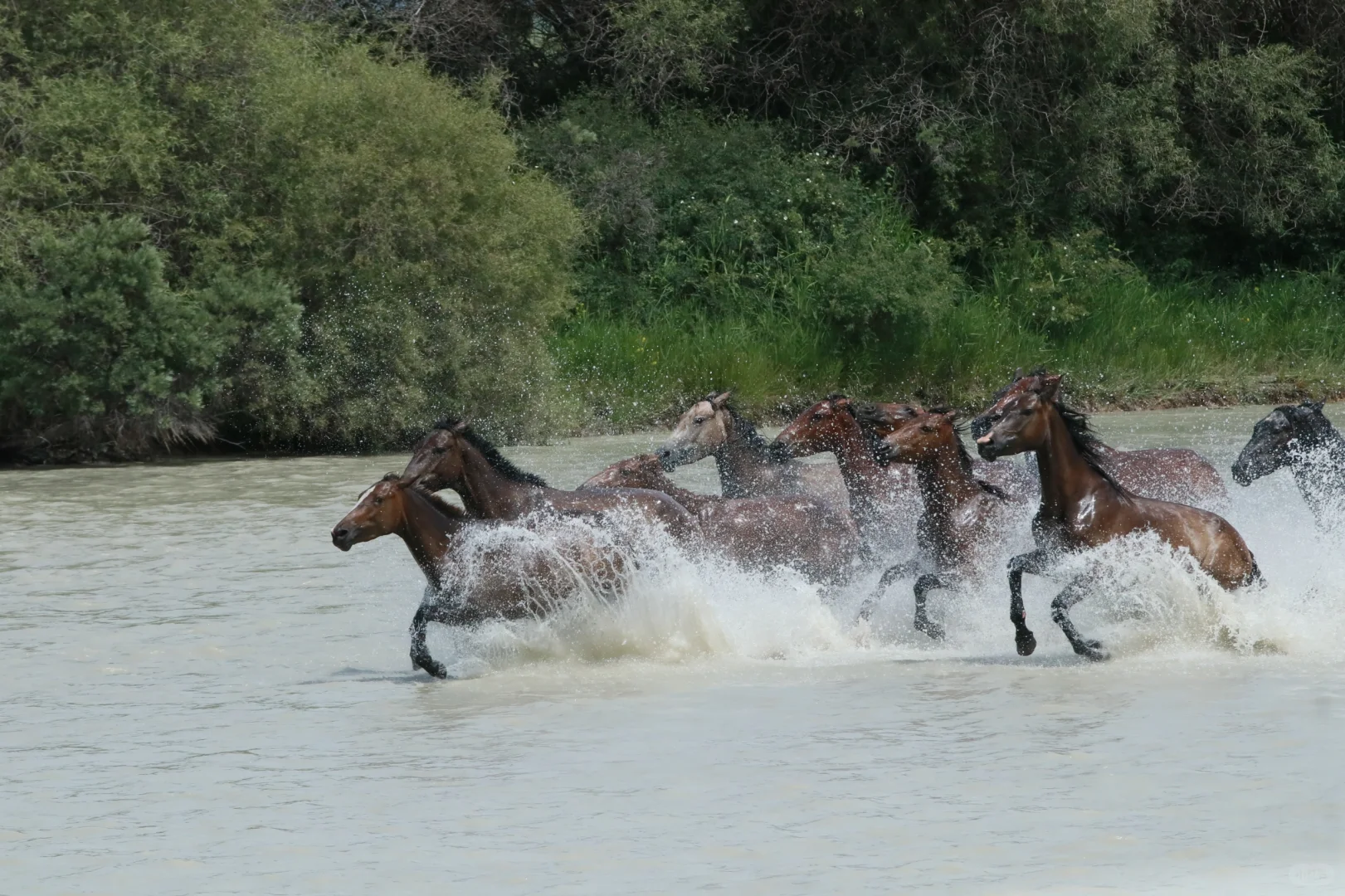 替大家试过了，带孩子去新疆的最好方式！