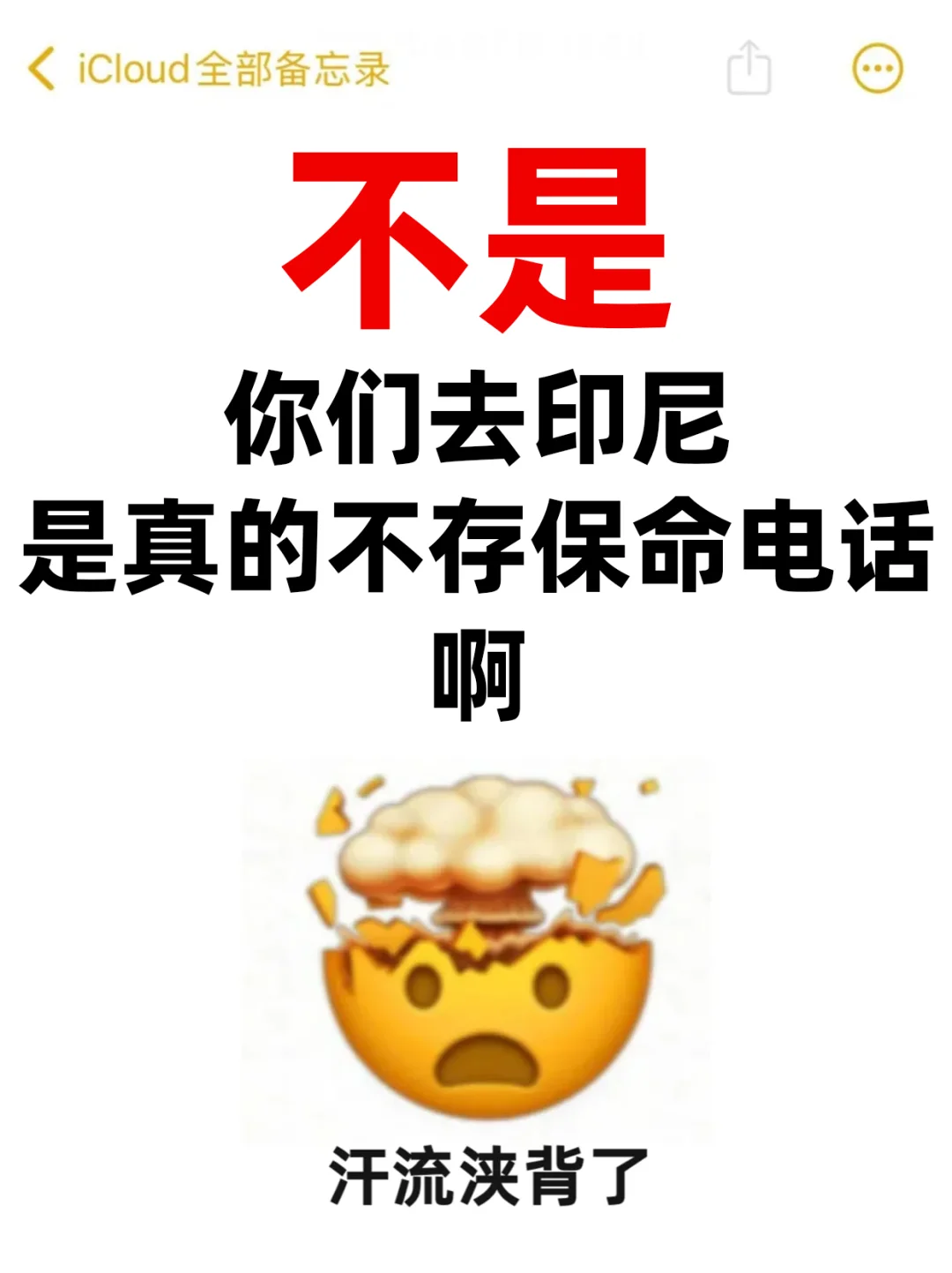 去印尼旅游一定要存的保命电话☎