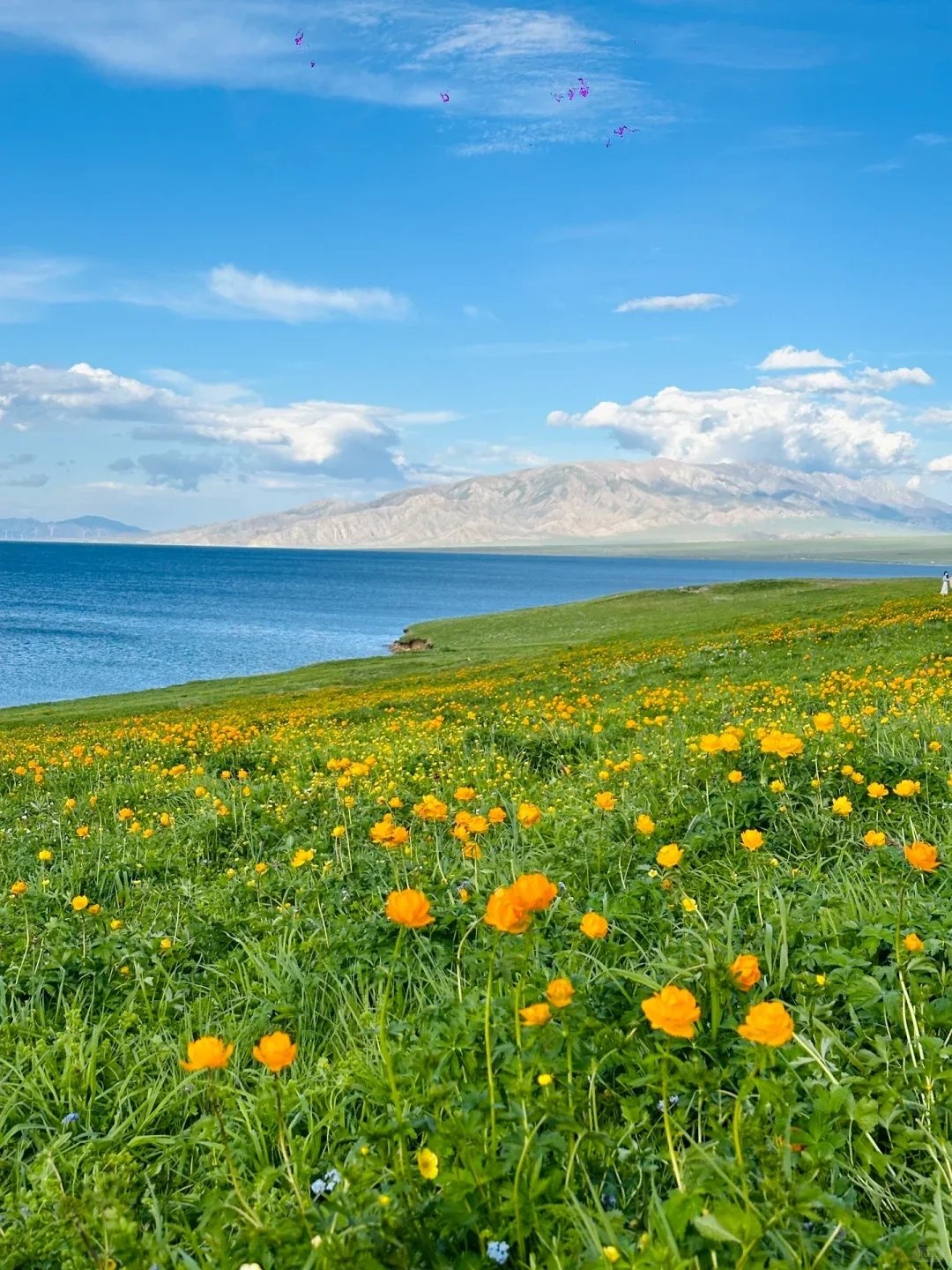 老公也太会选度假地了,去了完全不想回
