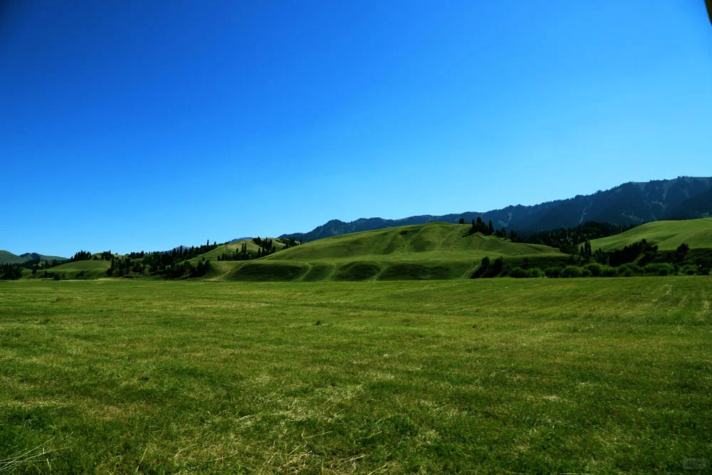 旅游注意事项和避雷指南✨让你的旅程超完美