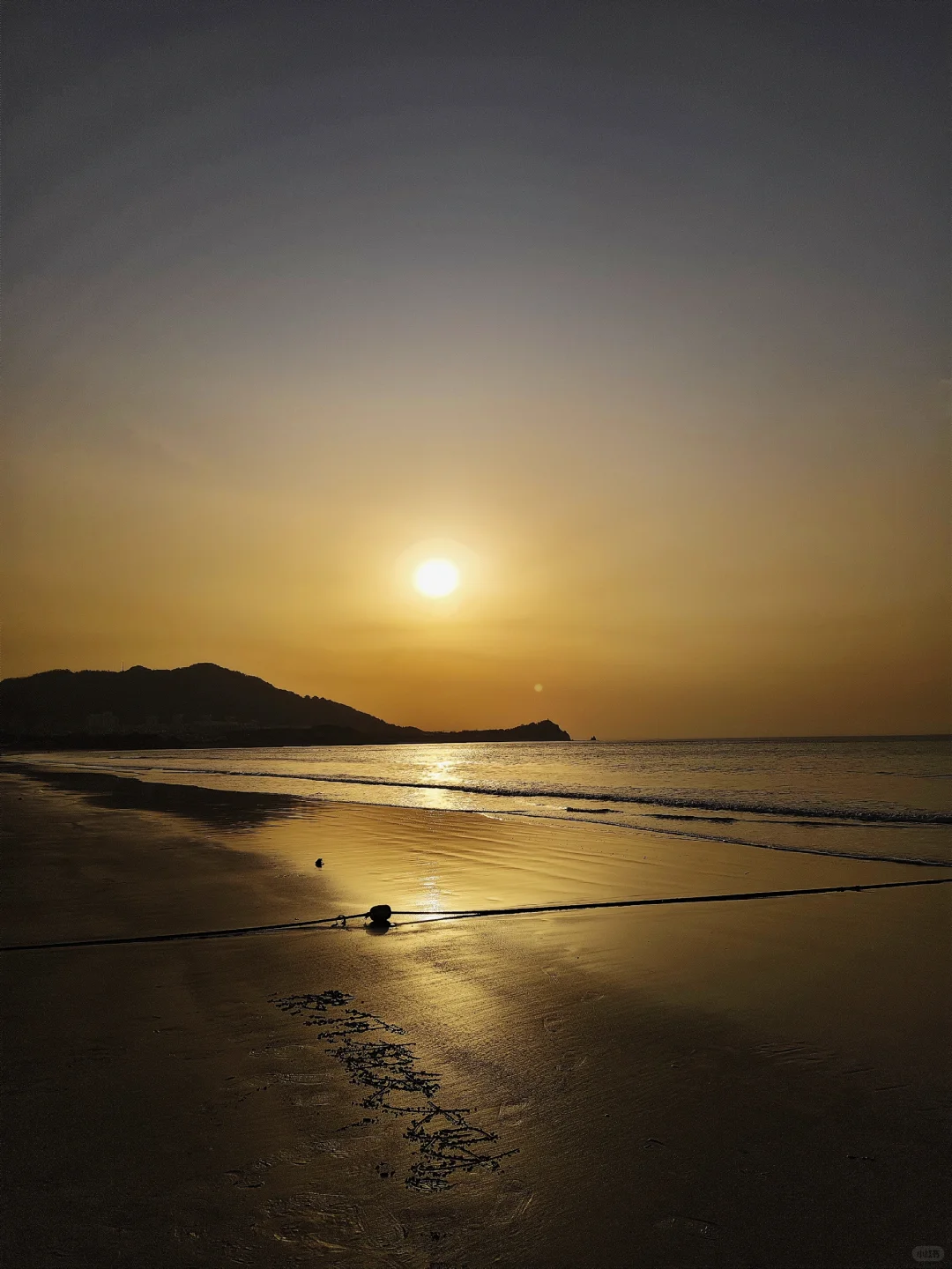 于是，我爱上了「青岛」…